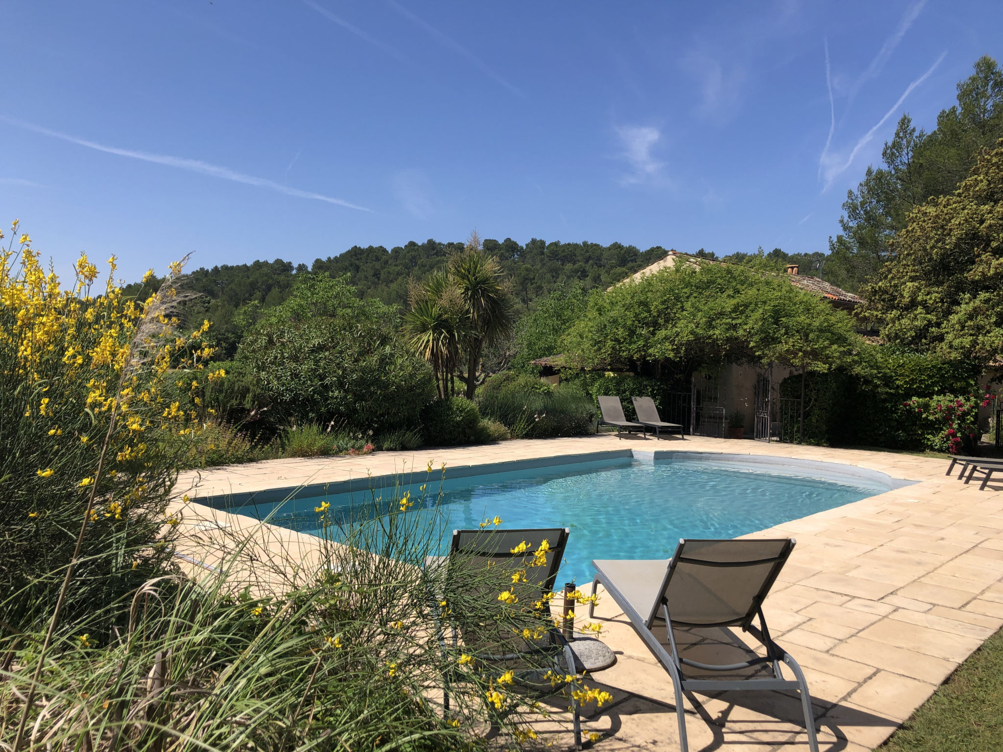 LES 2 PALMIERS
