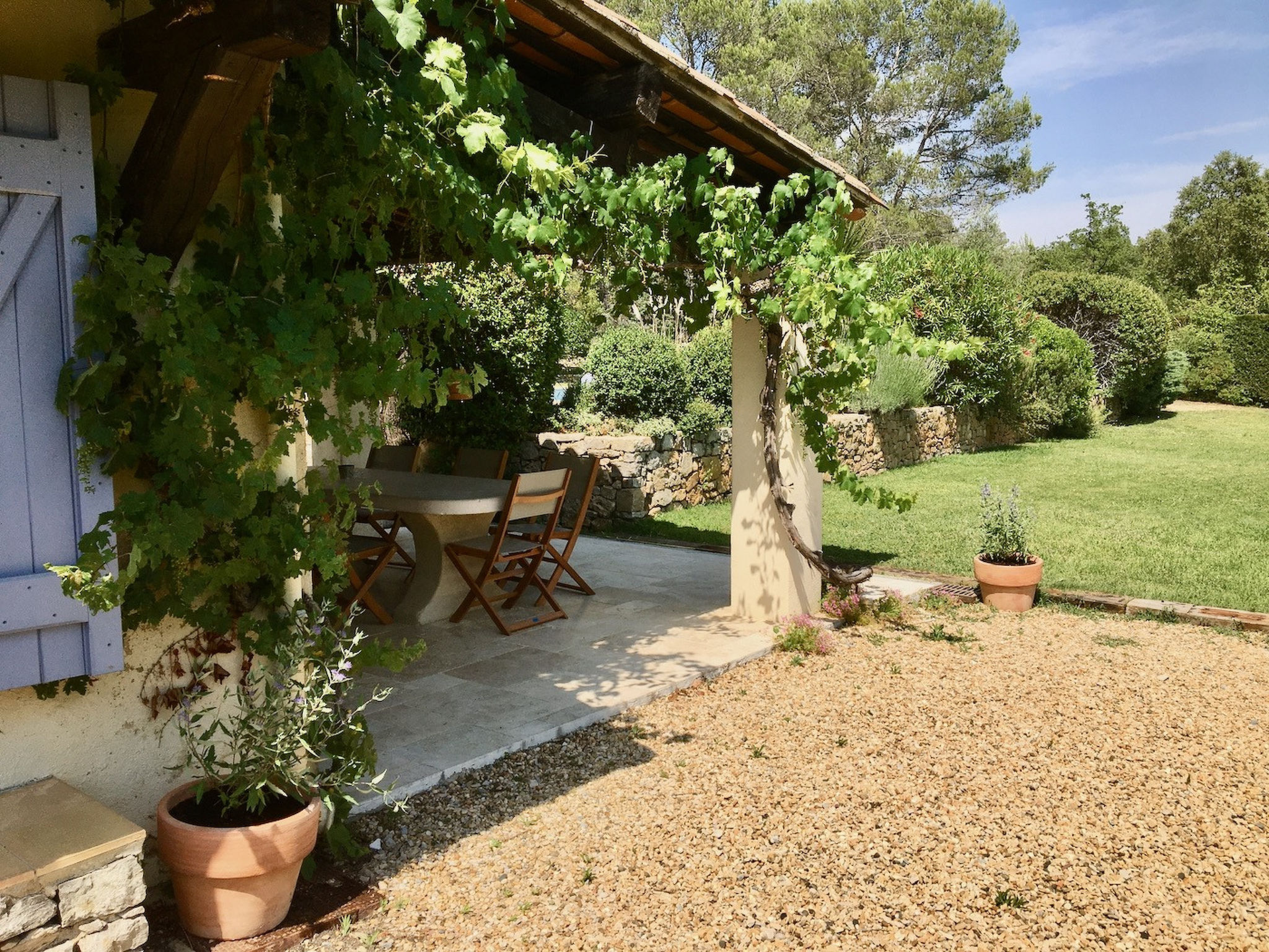 LES 2 PALMIERS - Dehors