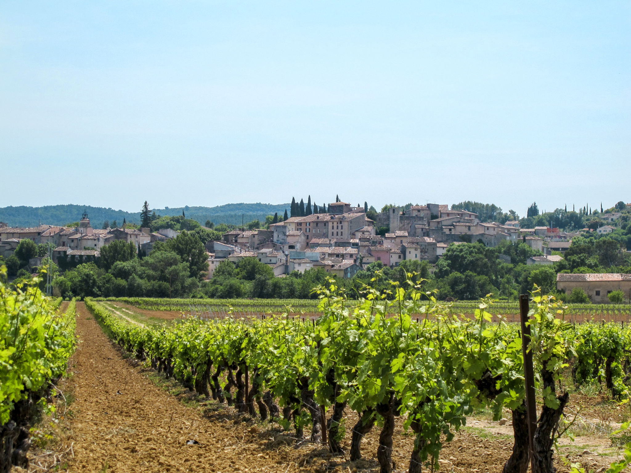 LES 2 PALMIERS - Omgeving