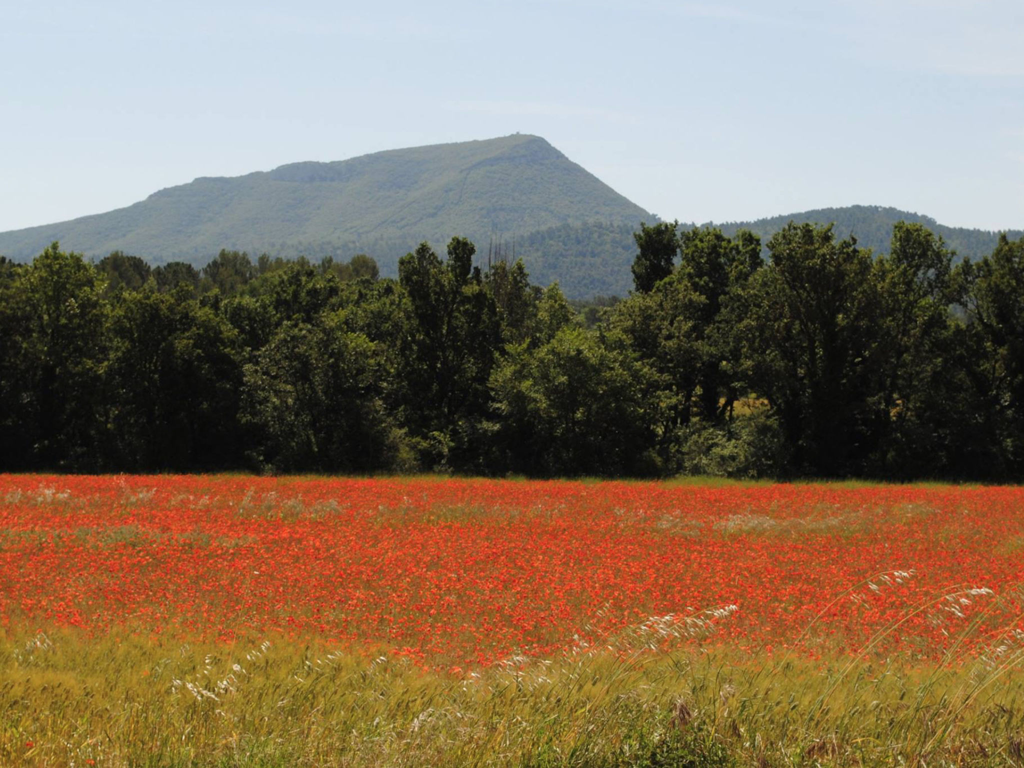 CLOS DES CHENES - Buiten