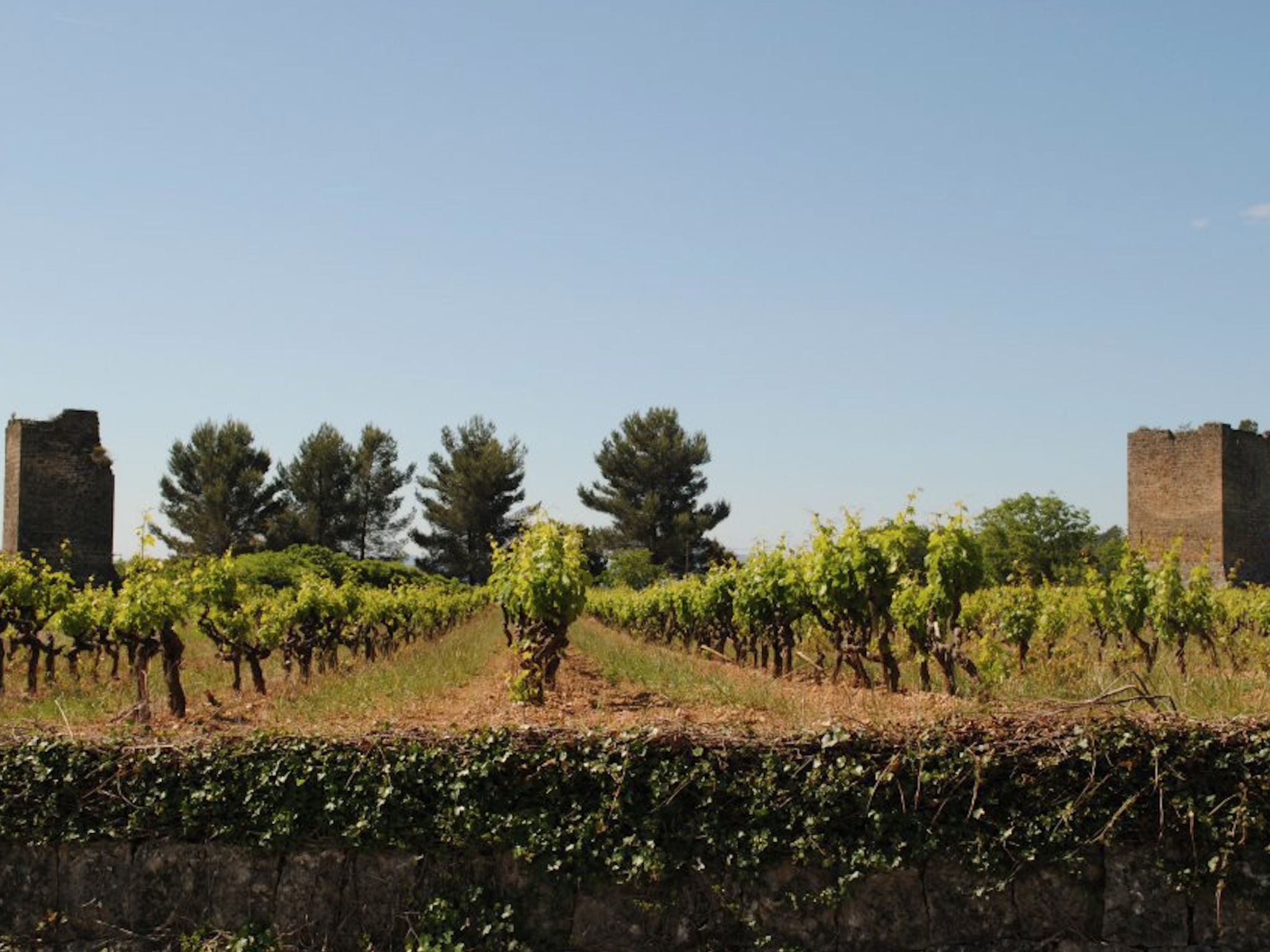 CLOS DES CHENES - Buiten