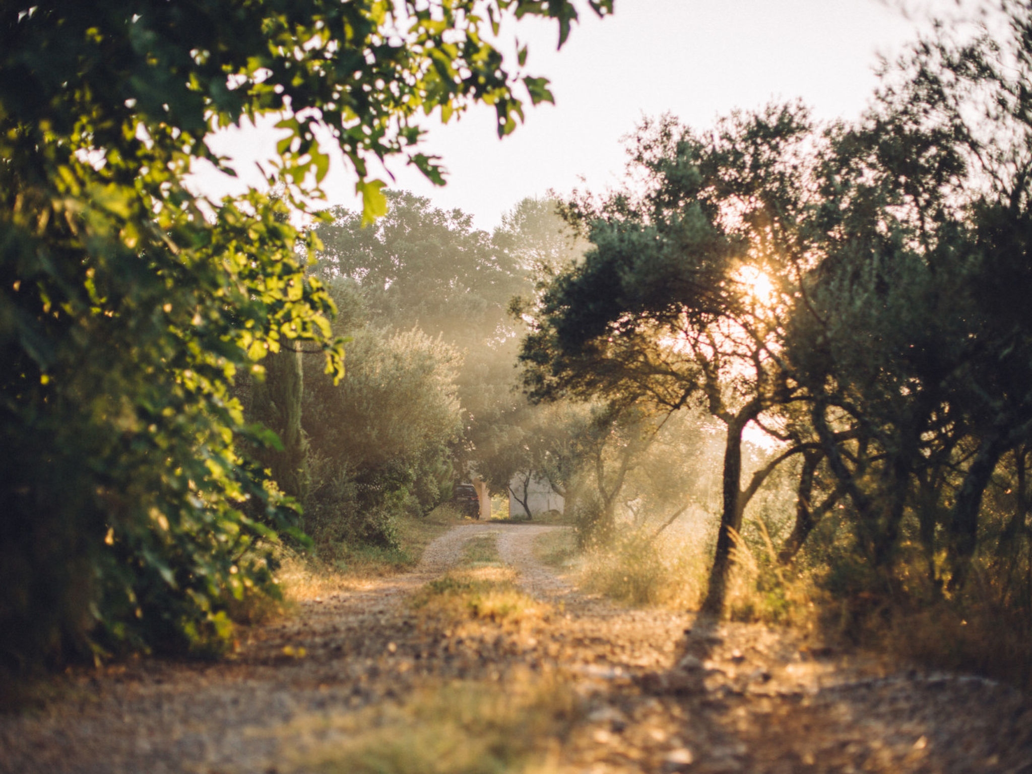 MAS DU PERIGOULIER - Buiten