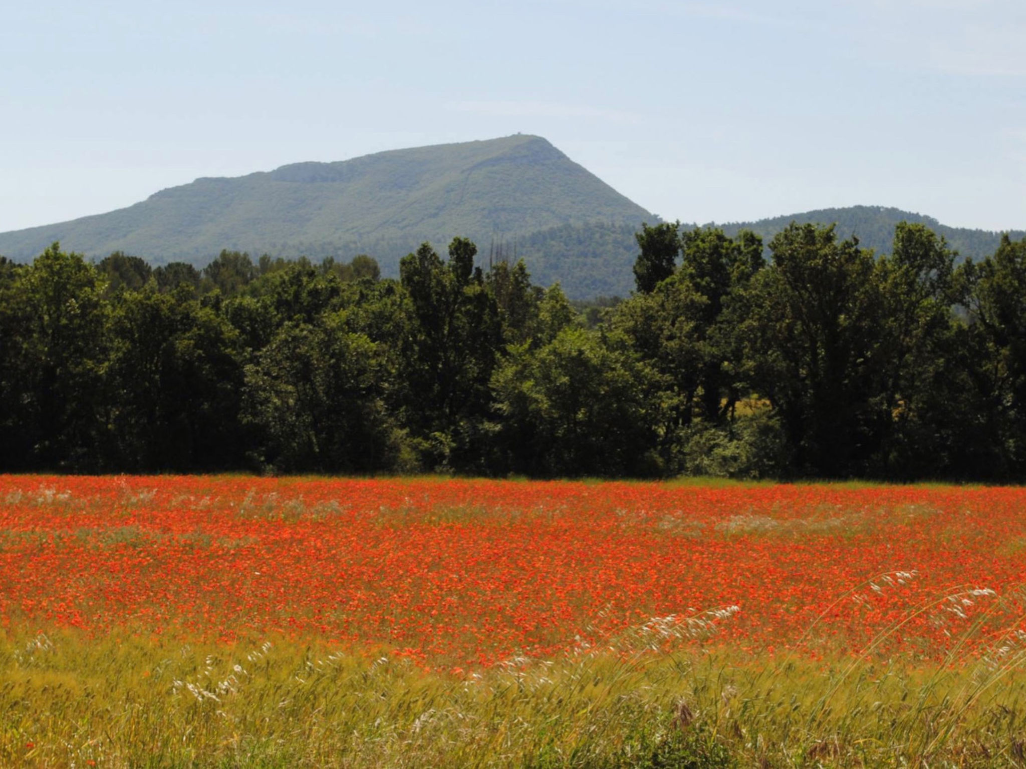 LI SIAN BEN - Buiten