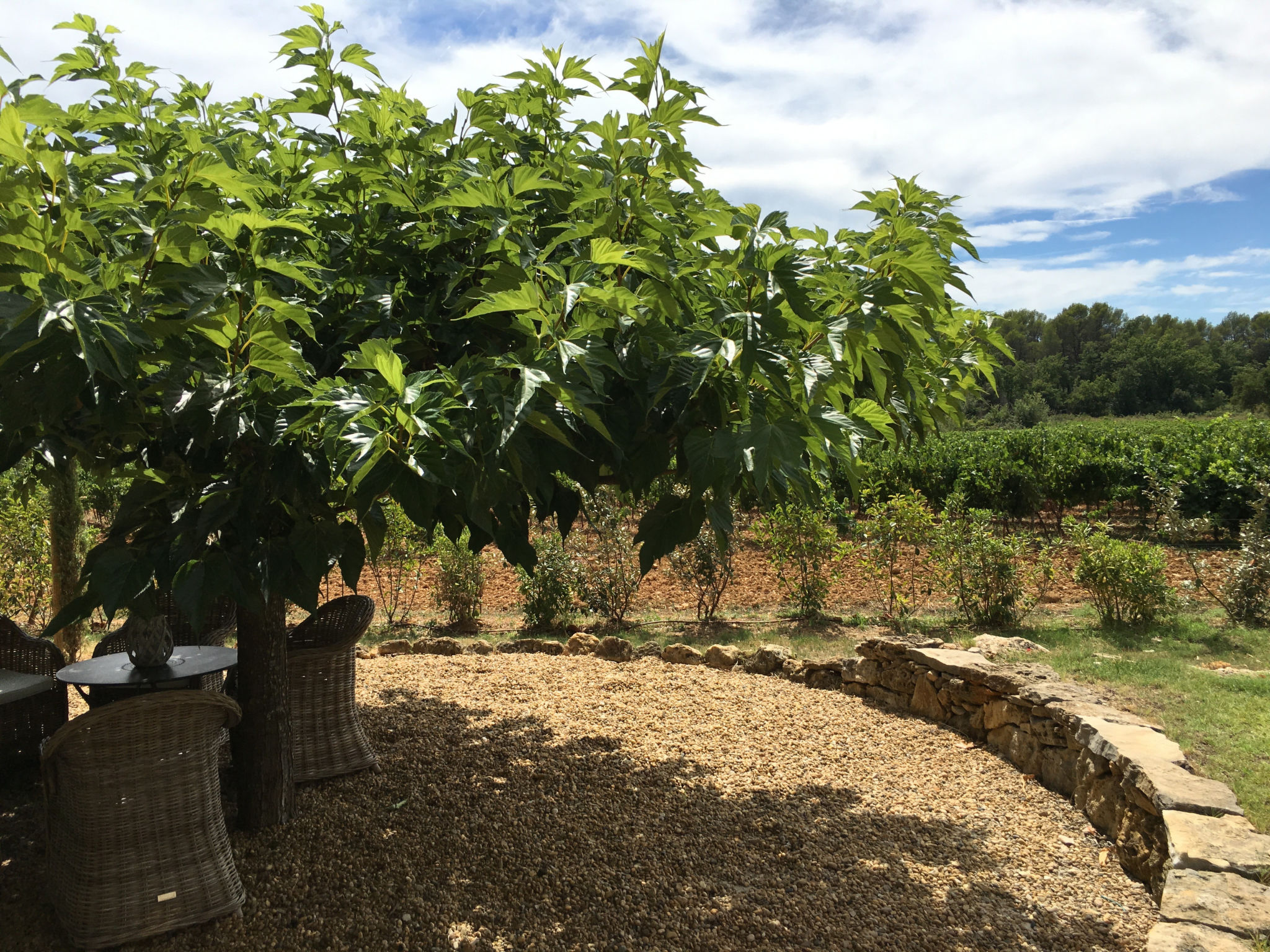 LI SIAN BEN - Buiten