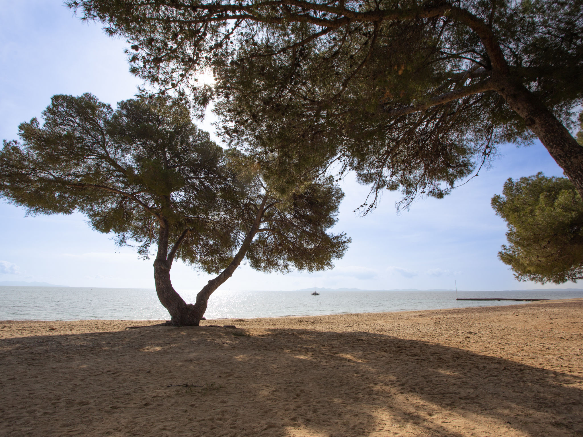 Ferienvilla mit Pool Infinity-Omgeving