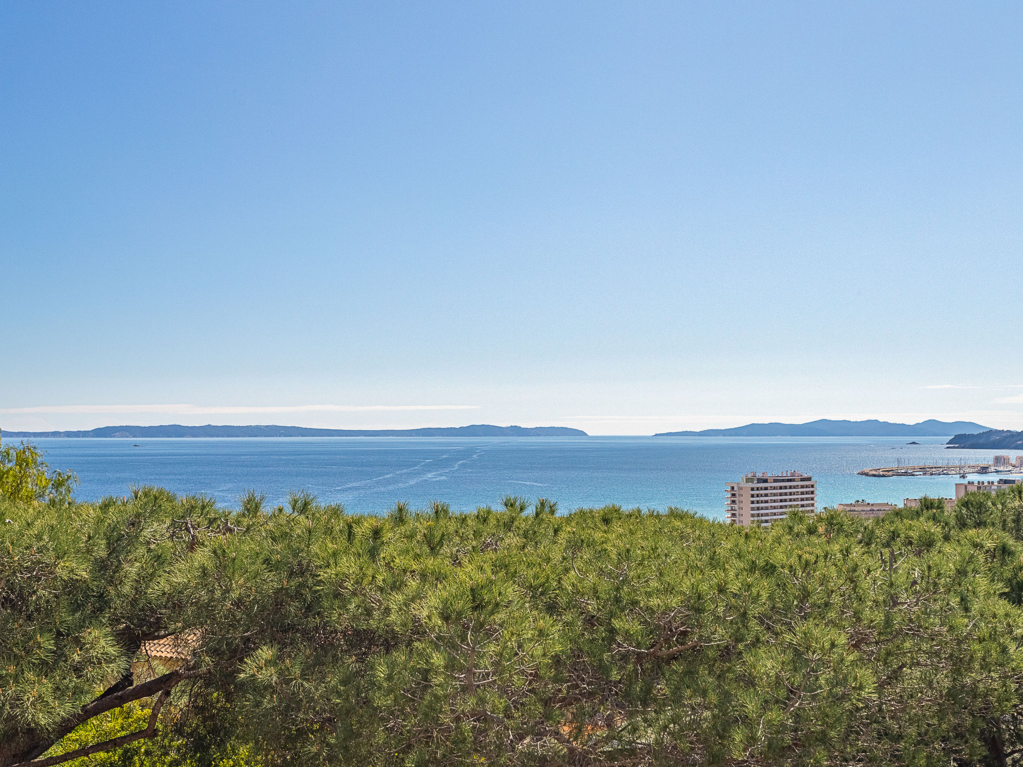 Photo of Les Bougainvillées