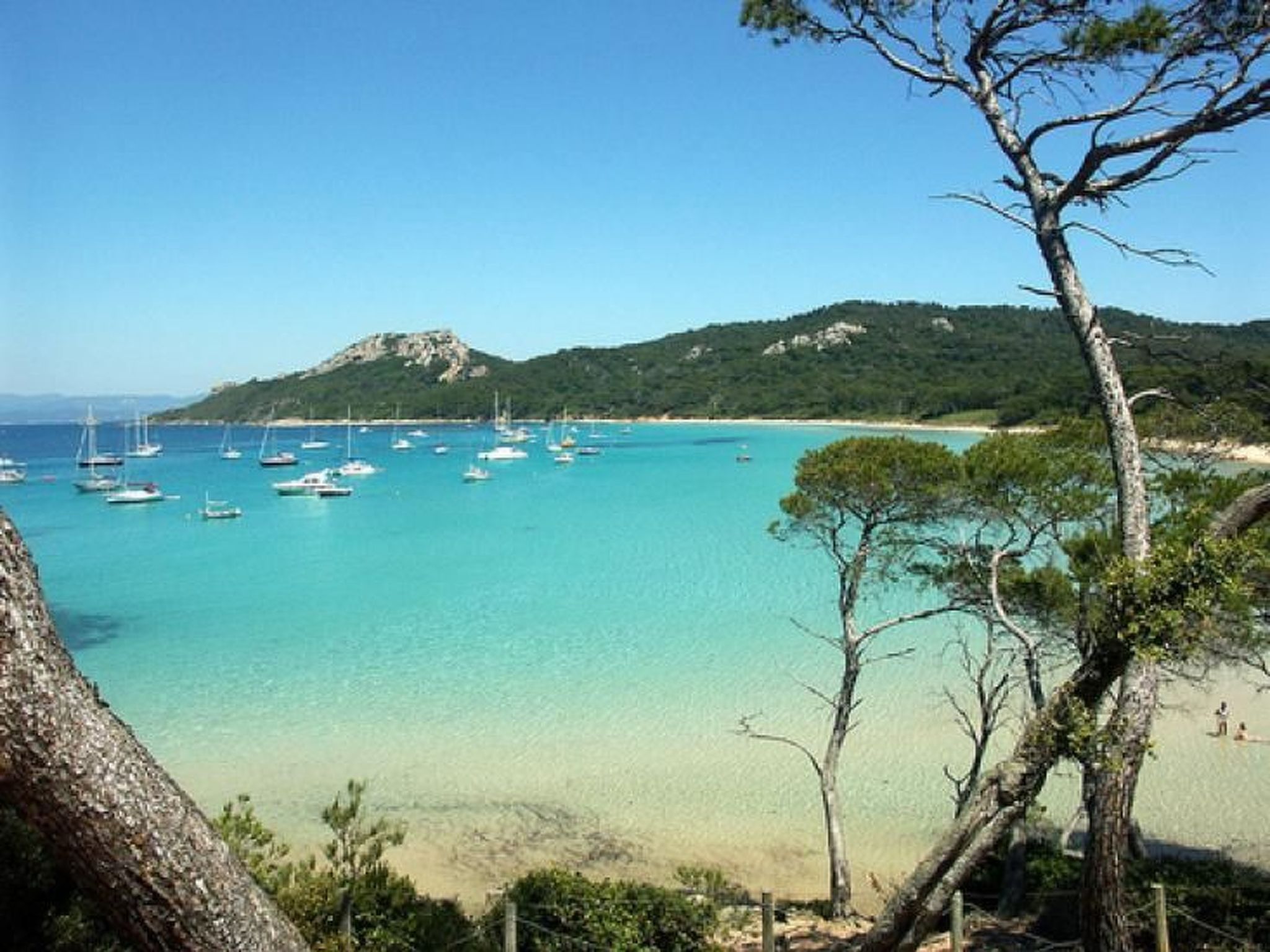 Villa La petite Moujonne in Le Lavandou-Binnen