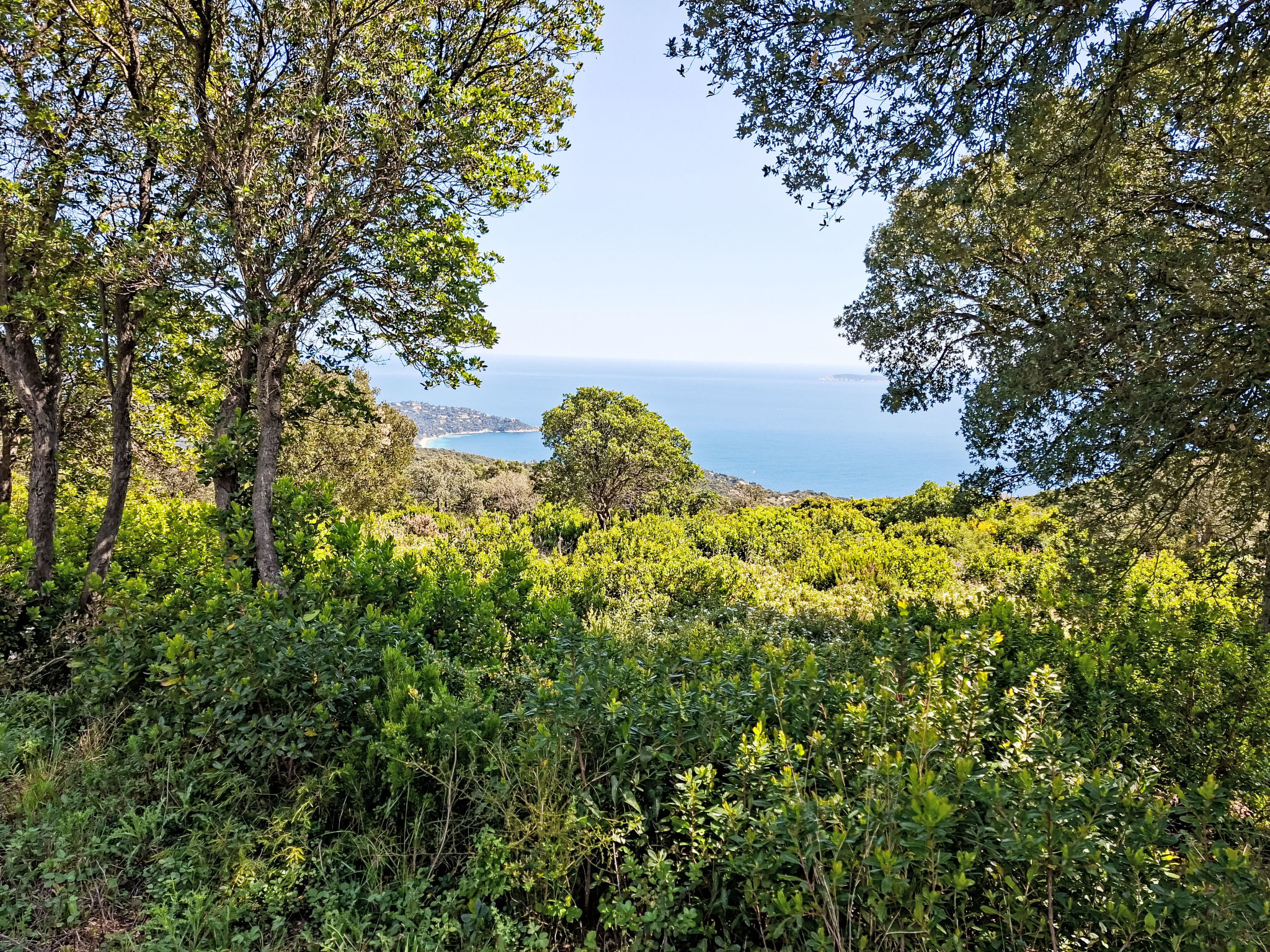 Photo of Le Jardin du Loderi