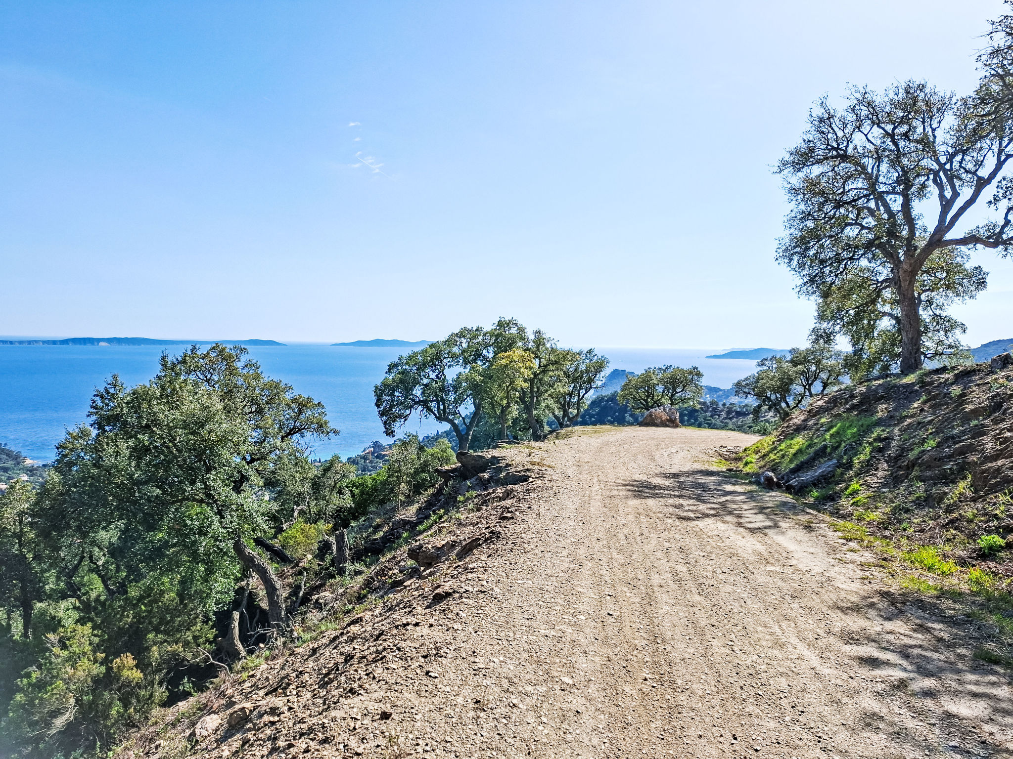 Photo of Le Jardin du Loderi