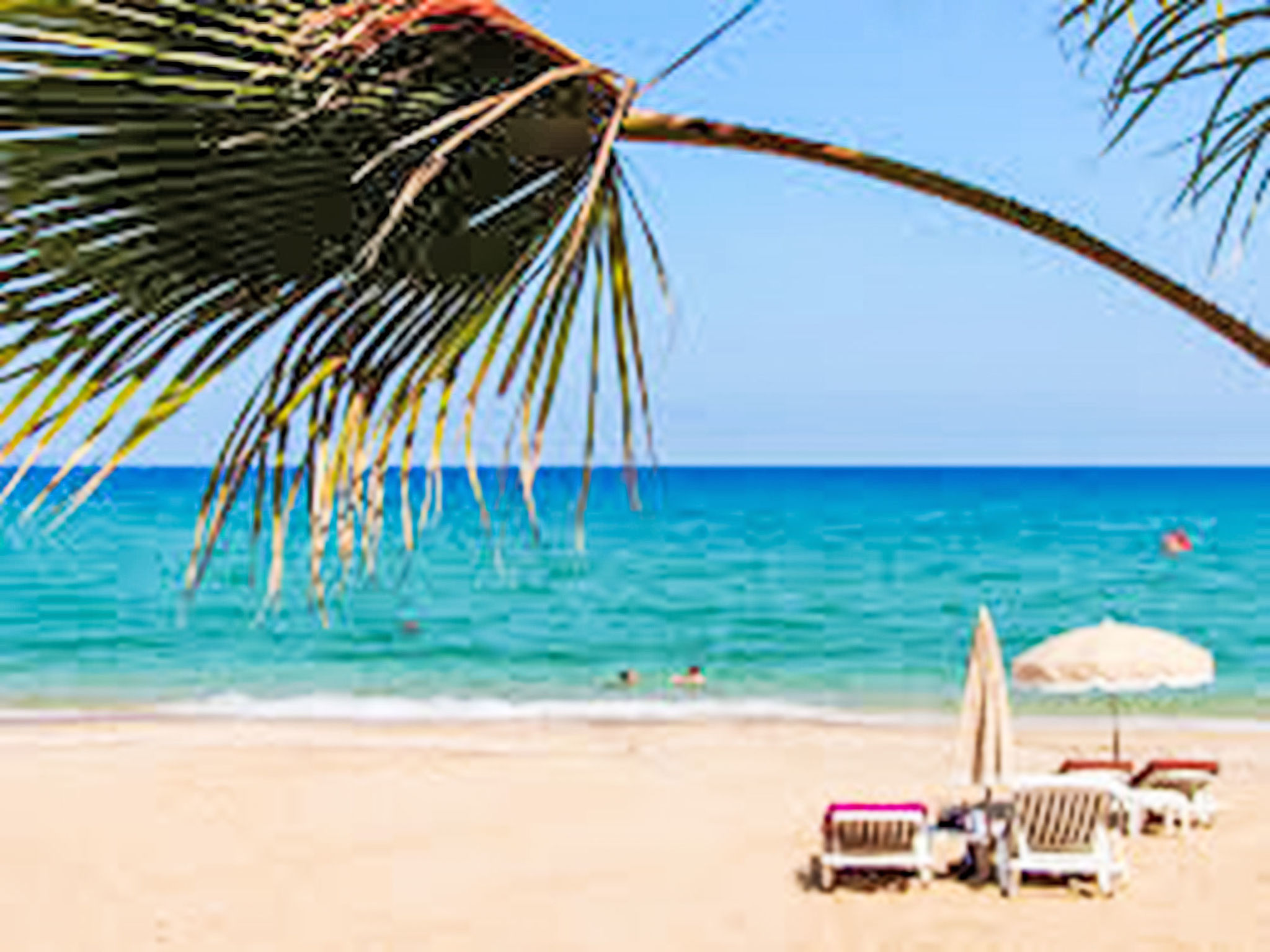 Photo of Les Pins Parasols