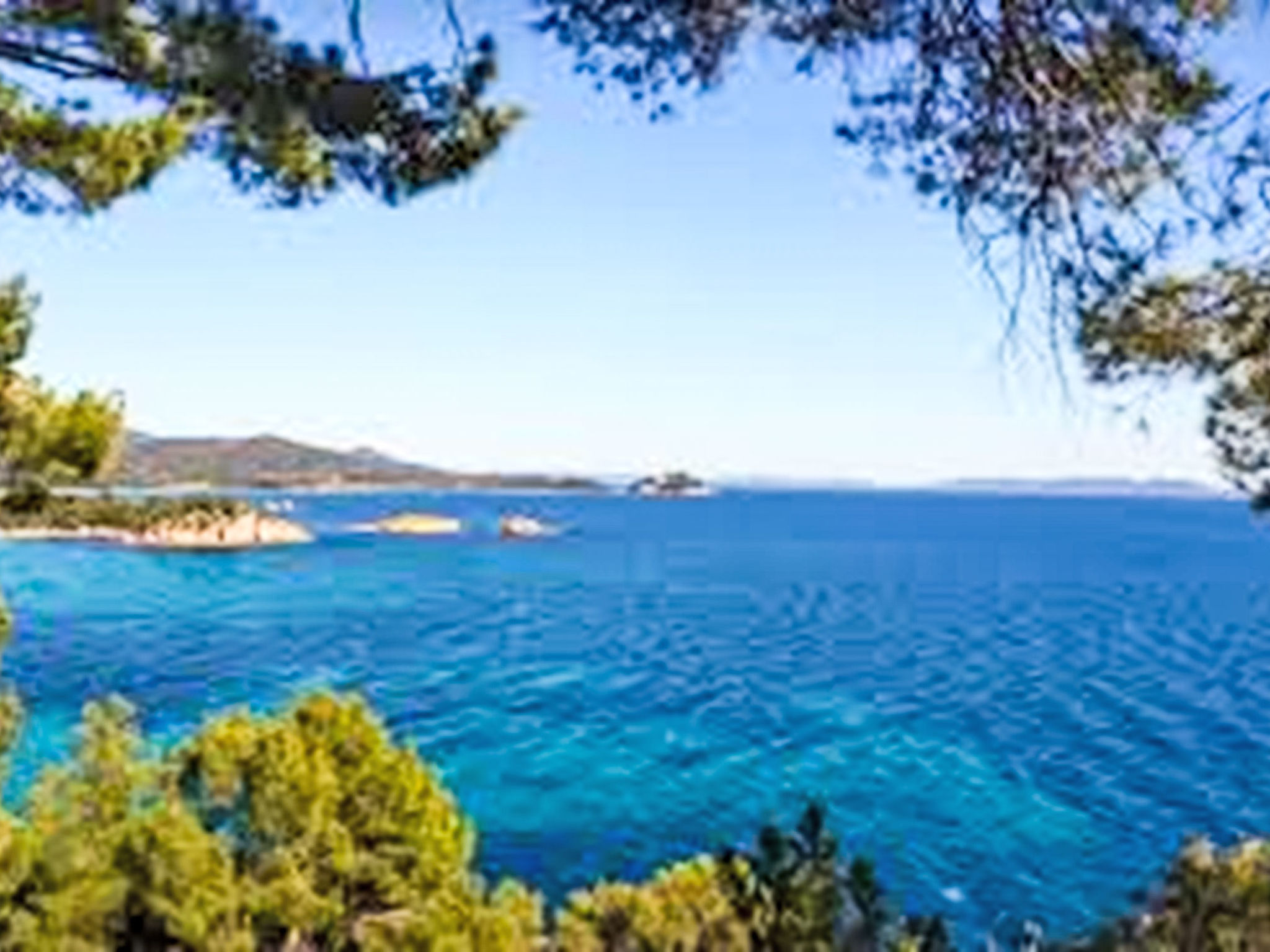Photo of Les Pins Parasols