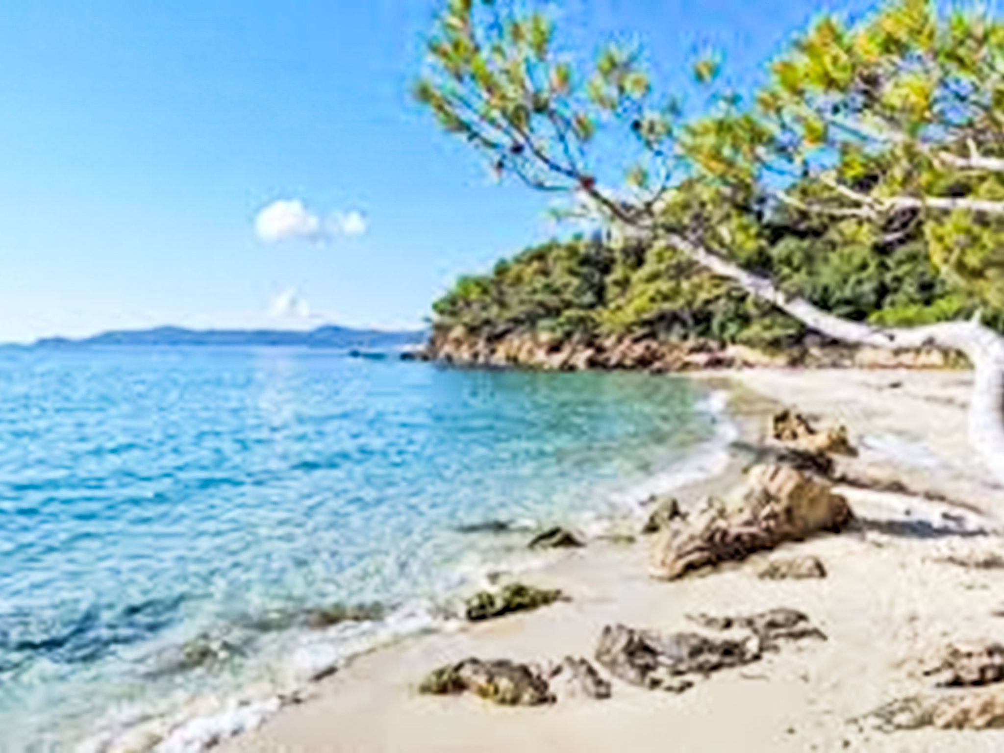 Photo of Les Pins Parasols