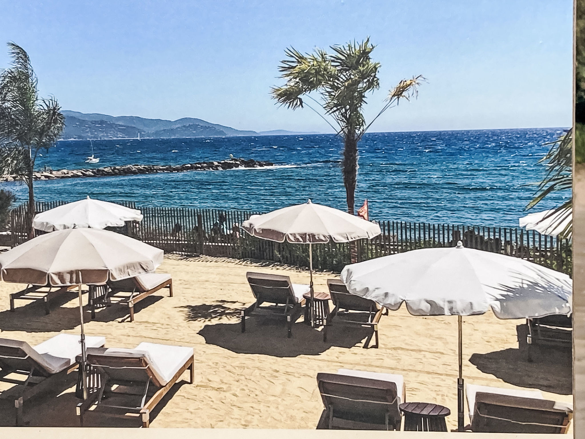 Photo of Les Pins Parasols