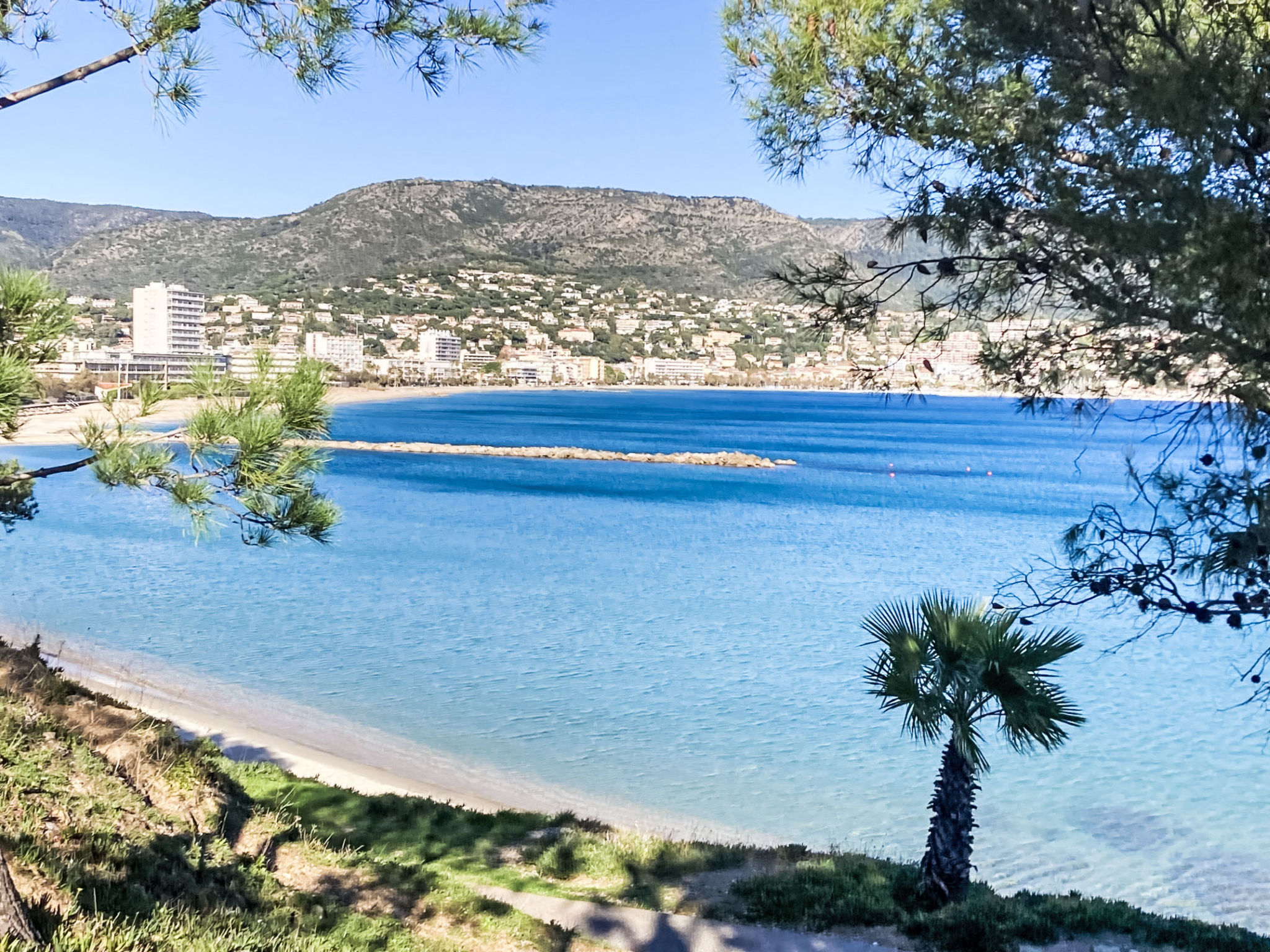Photo of Les Pins Parasols