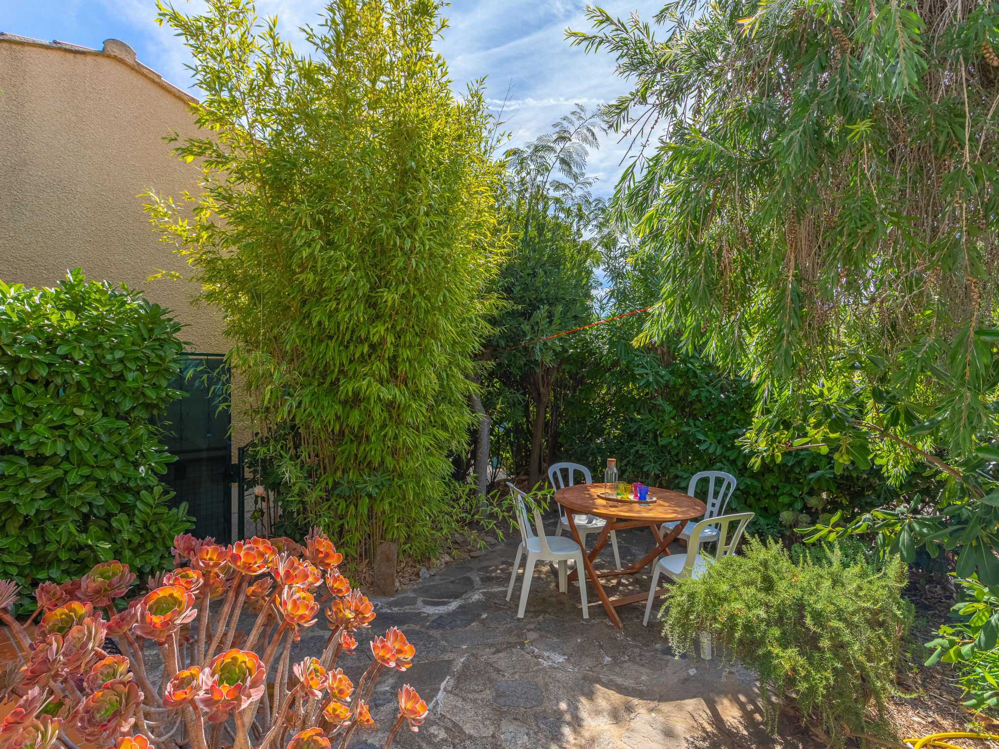 Photo of Les Mimosanes