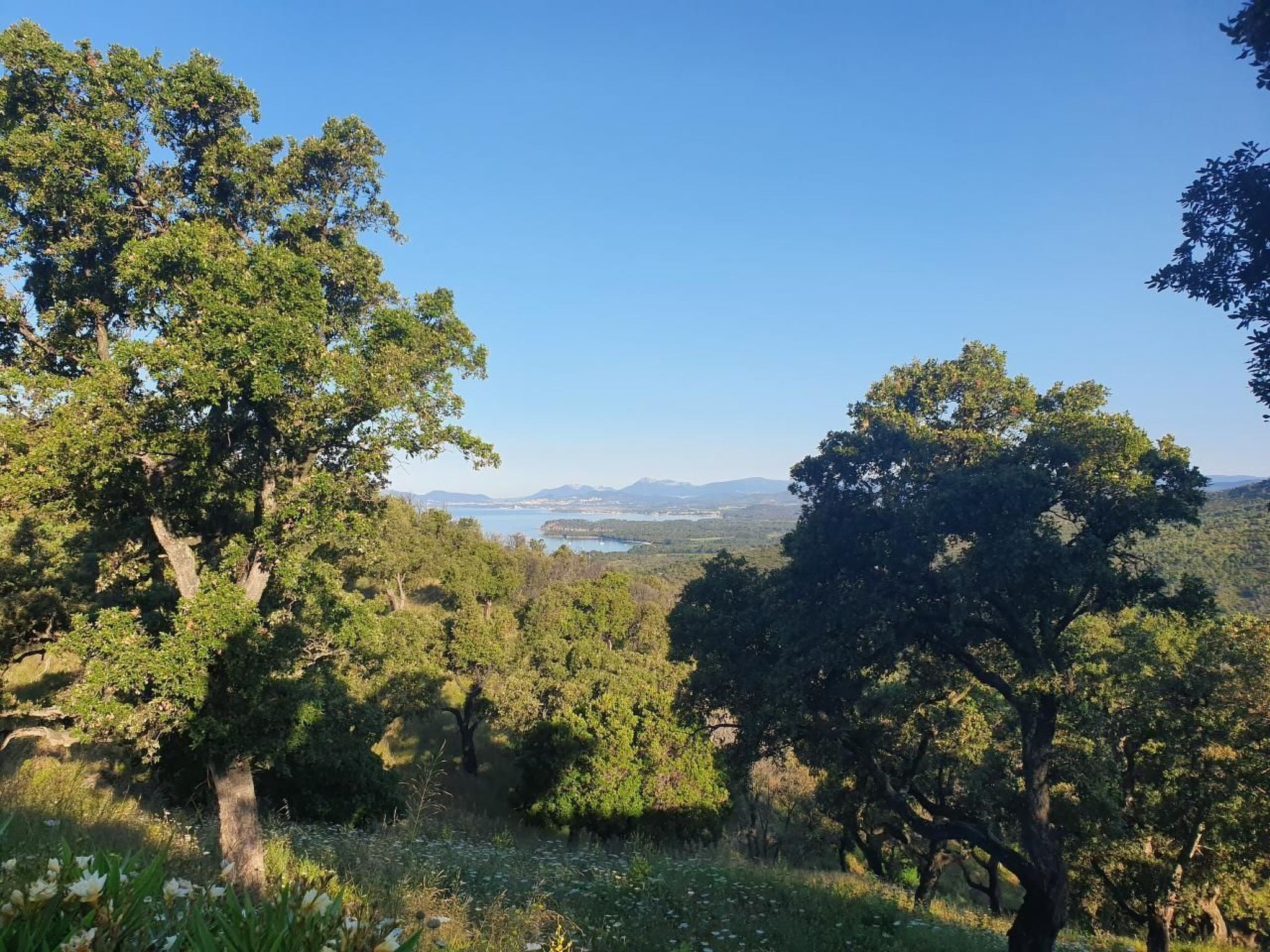 Photo of Gaou-Benat. Meerblick Private & bewachte Domäne.