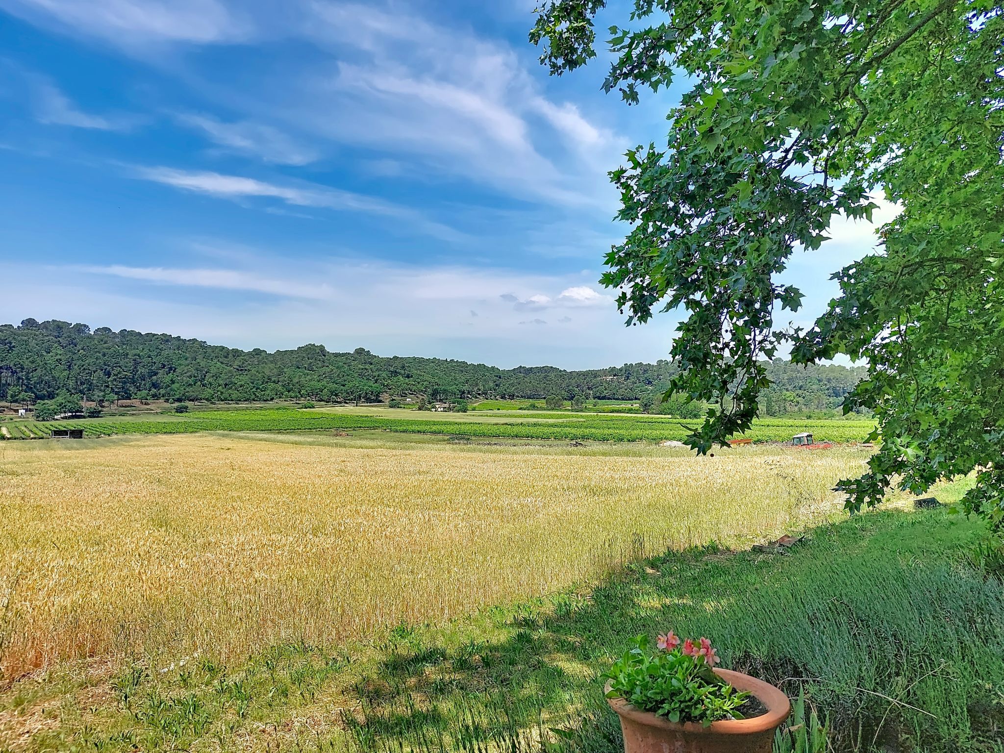 Chateau Payan - Buiten