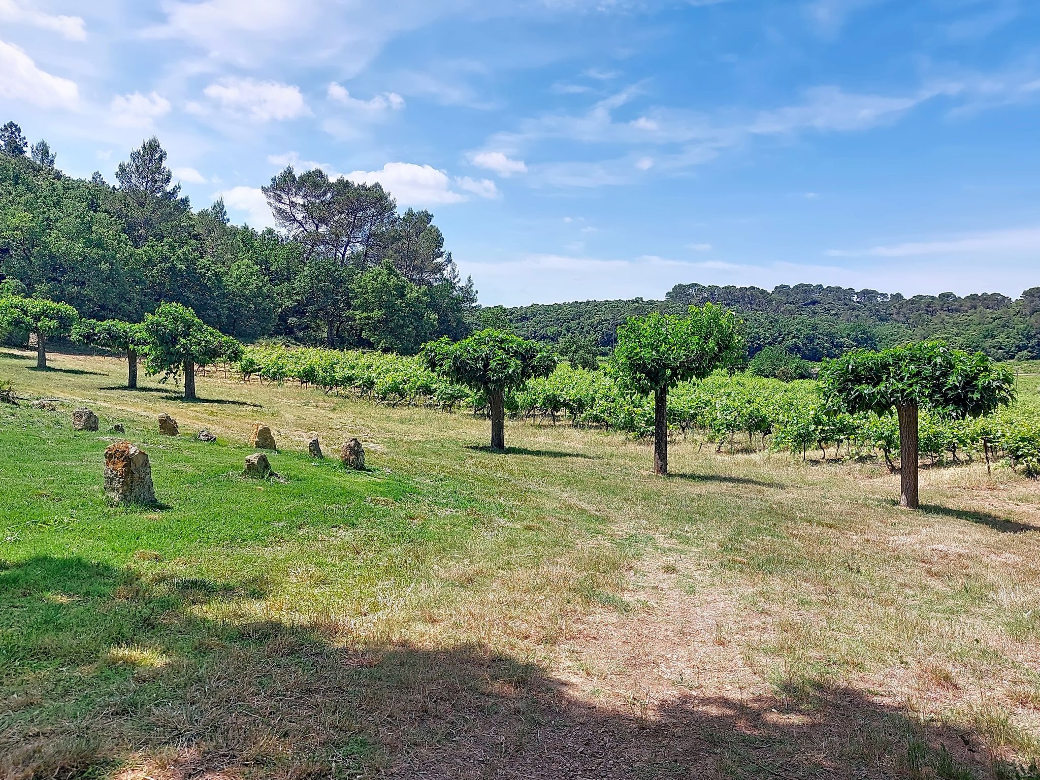 Chateau Payan - Buiten