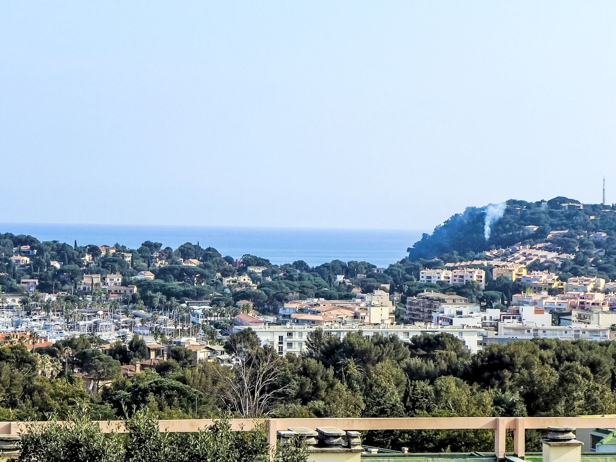 Photo of Les Mimosas