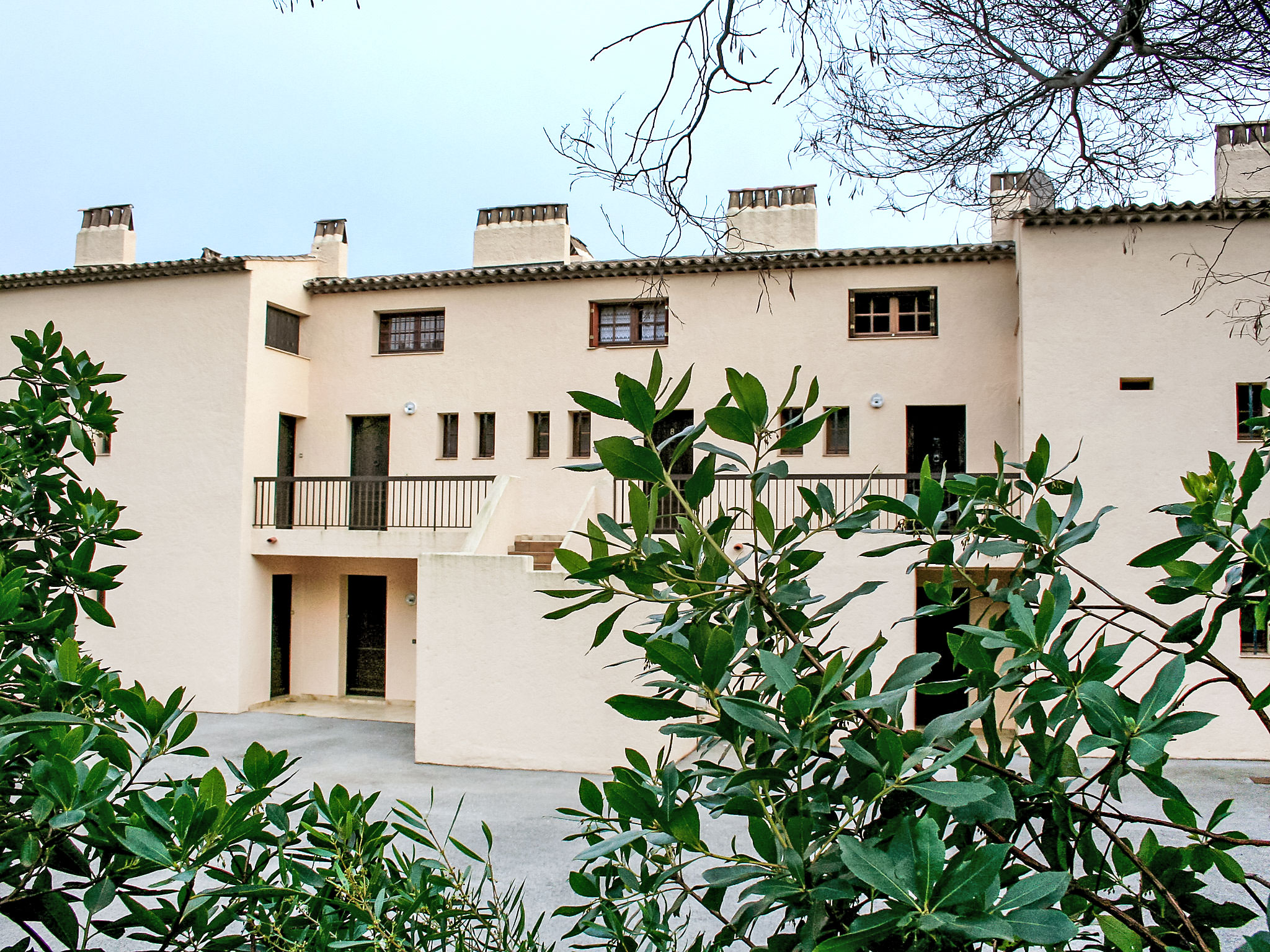 Photo of les Oiseaux