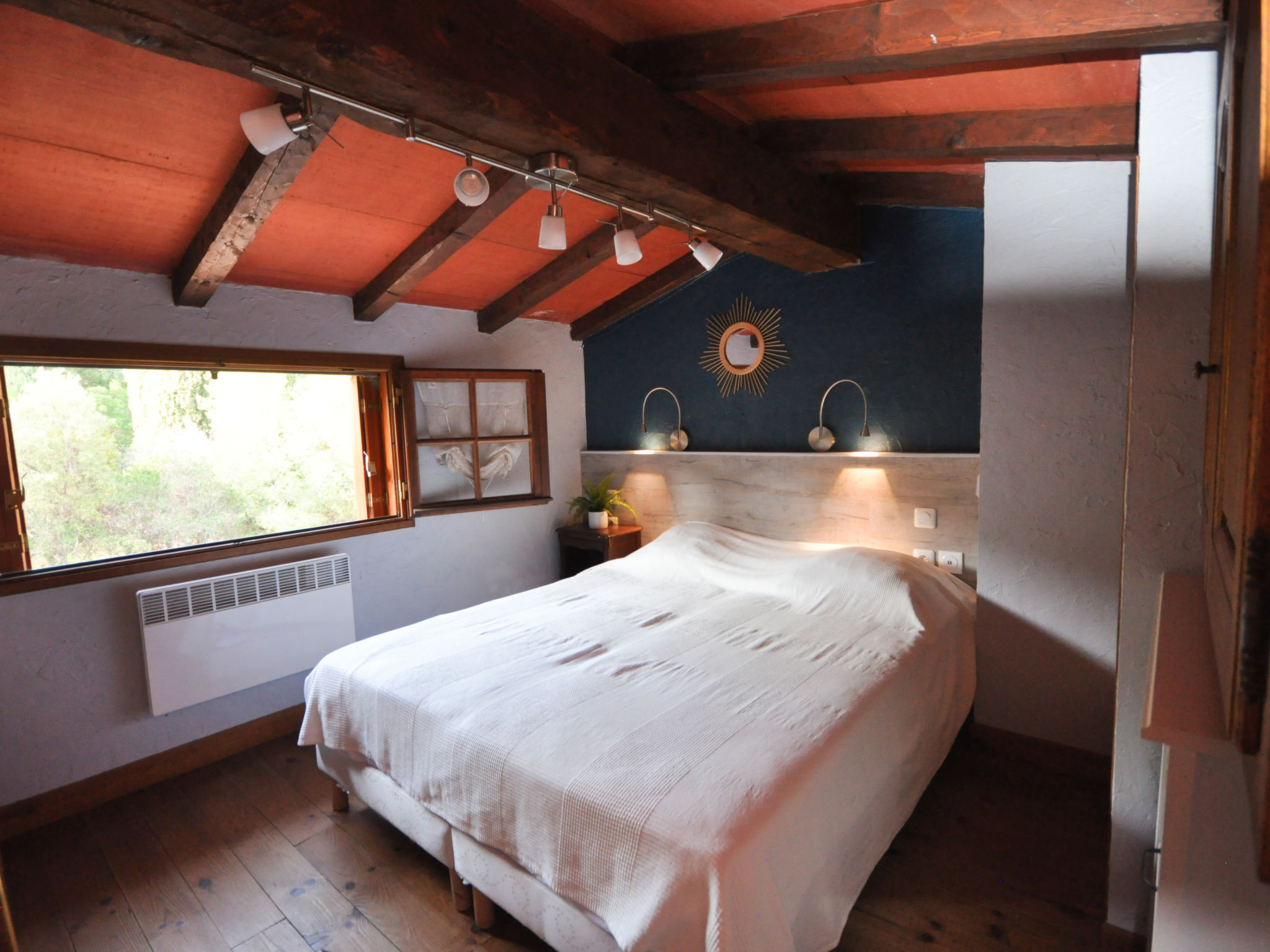 Photo of les Oiseaux