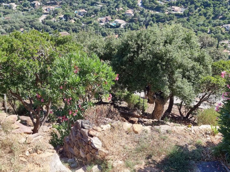 Photo of Les Terrasses de L'Eau Blanche