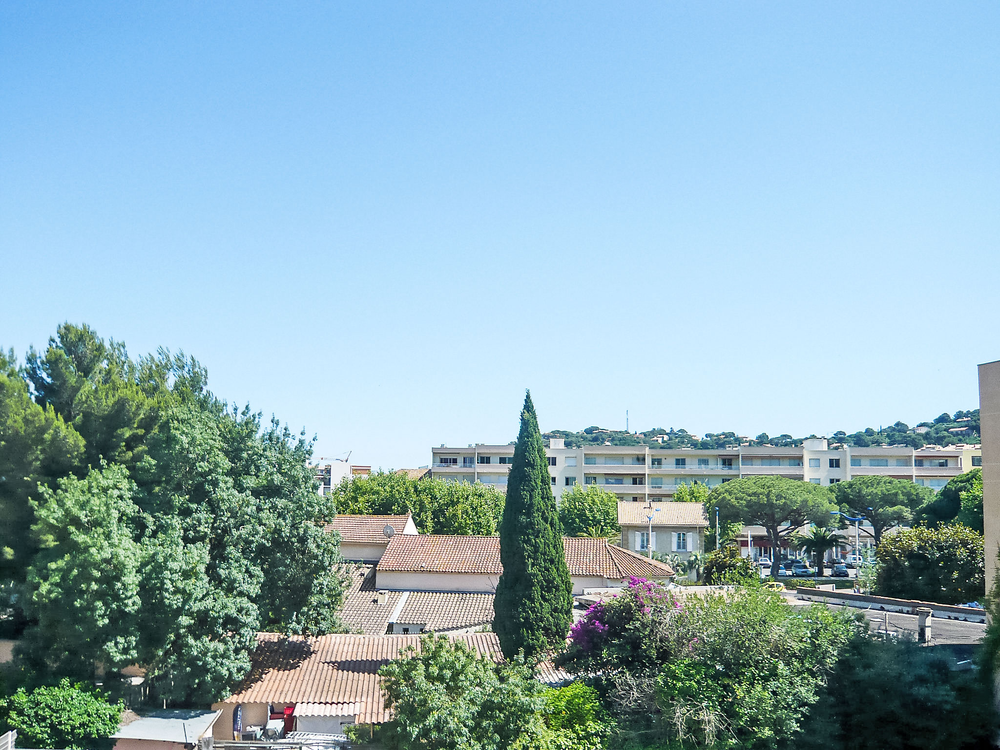 Photo of La Palmeraie