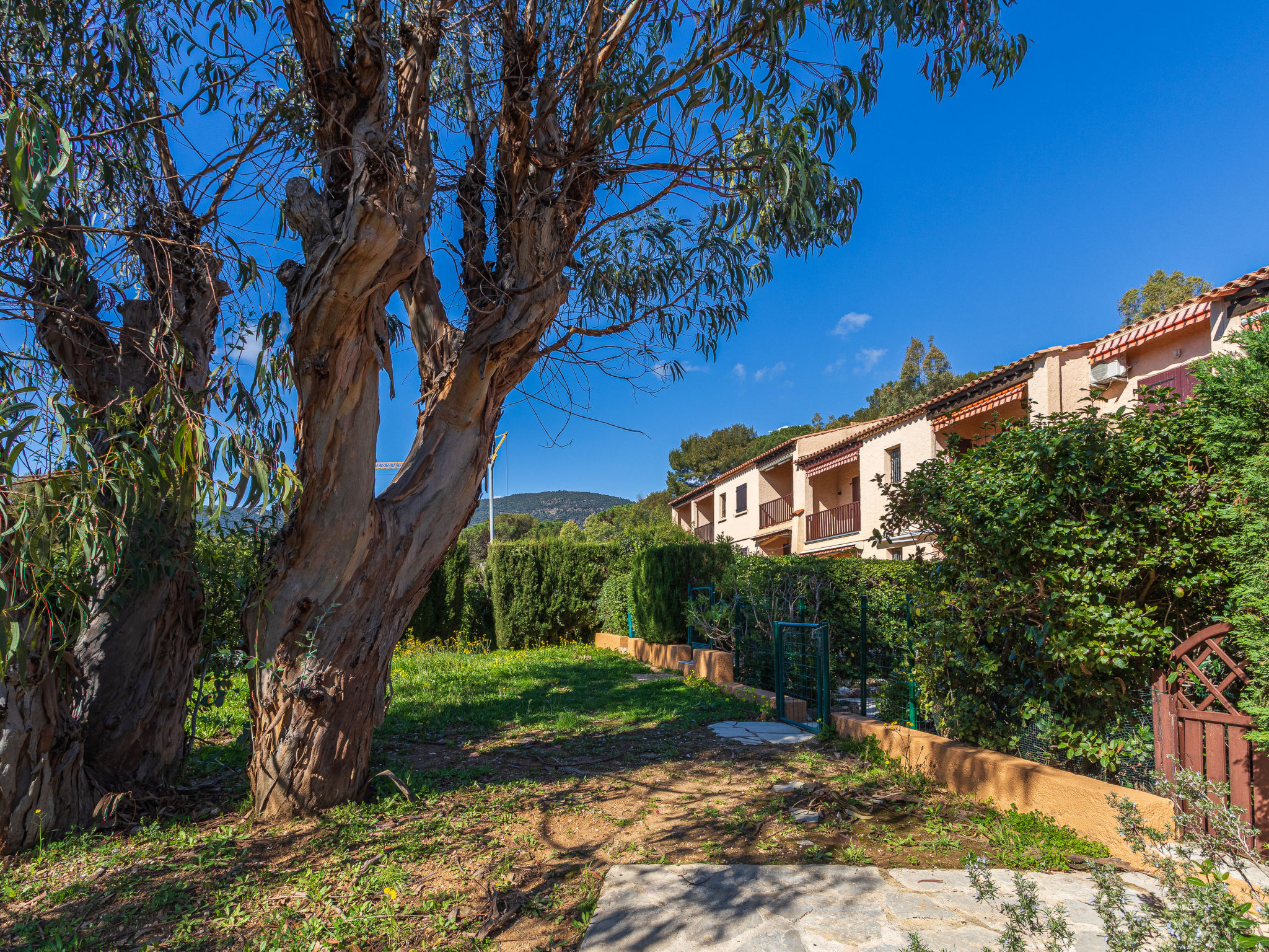 Photo of Des Moulins