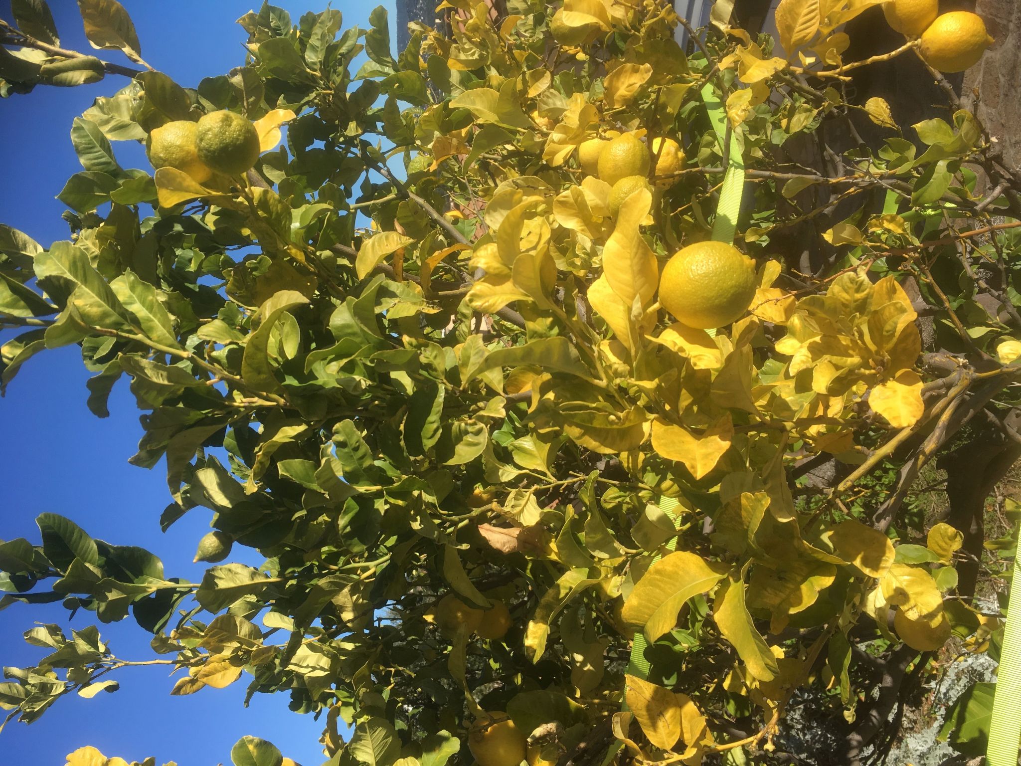 Wohnung mit Terrasse-Buiten