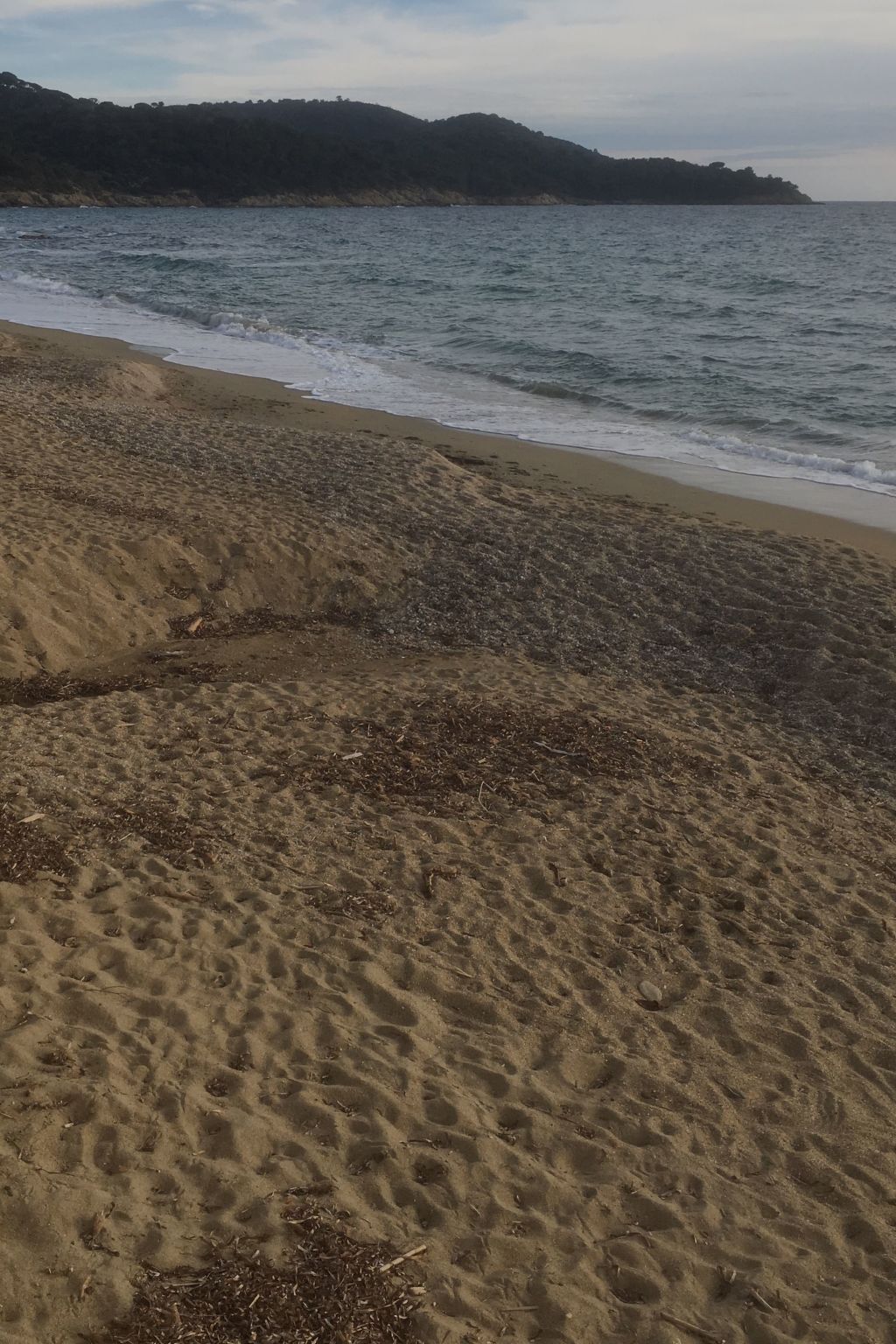 Photo of Wohnung mit Terrasse