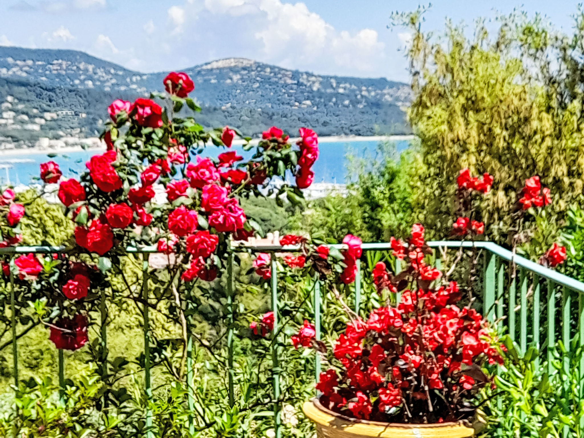 "La Mignonette" mit Meerblick