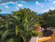 Vrijstaande vakantiewoning met grote tuin op 2 km van strand Cavalaire - thumbnail 1