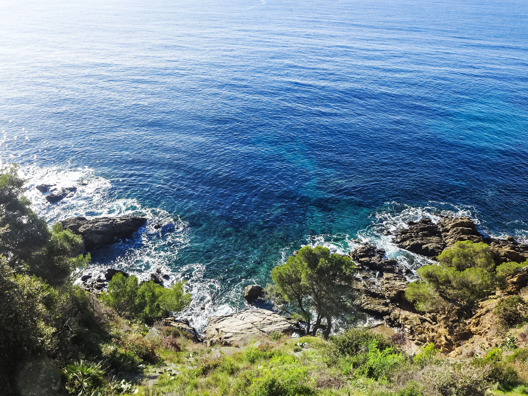 Photo of Le Grand Large