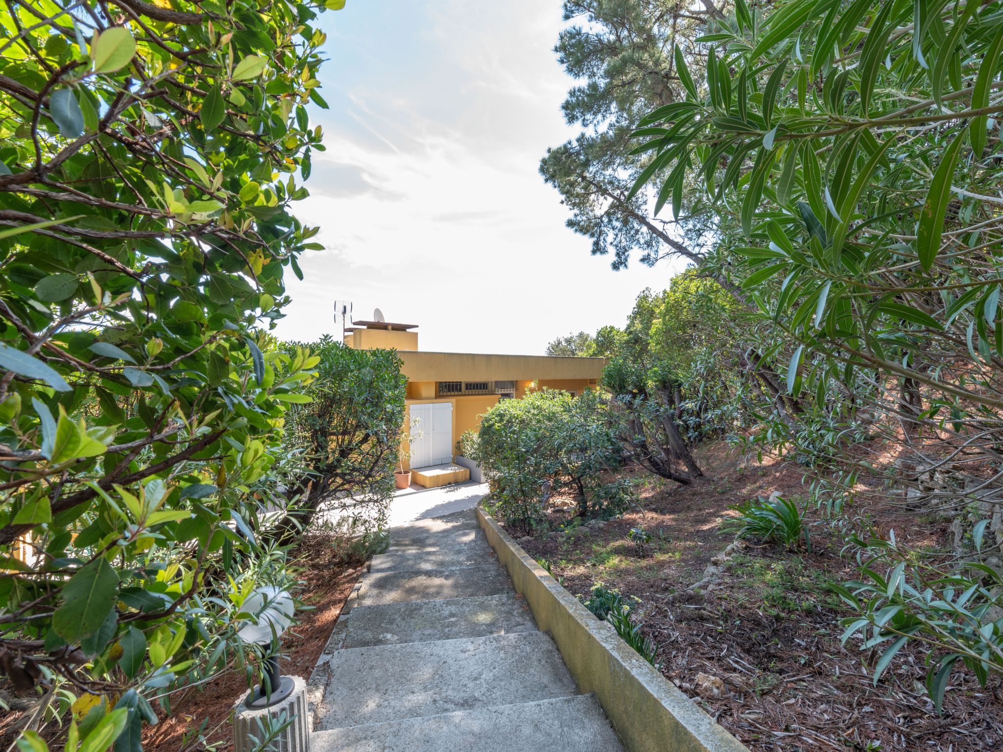 Photo of Les Coccinelles