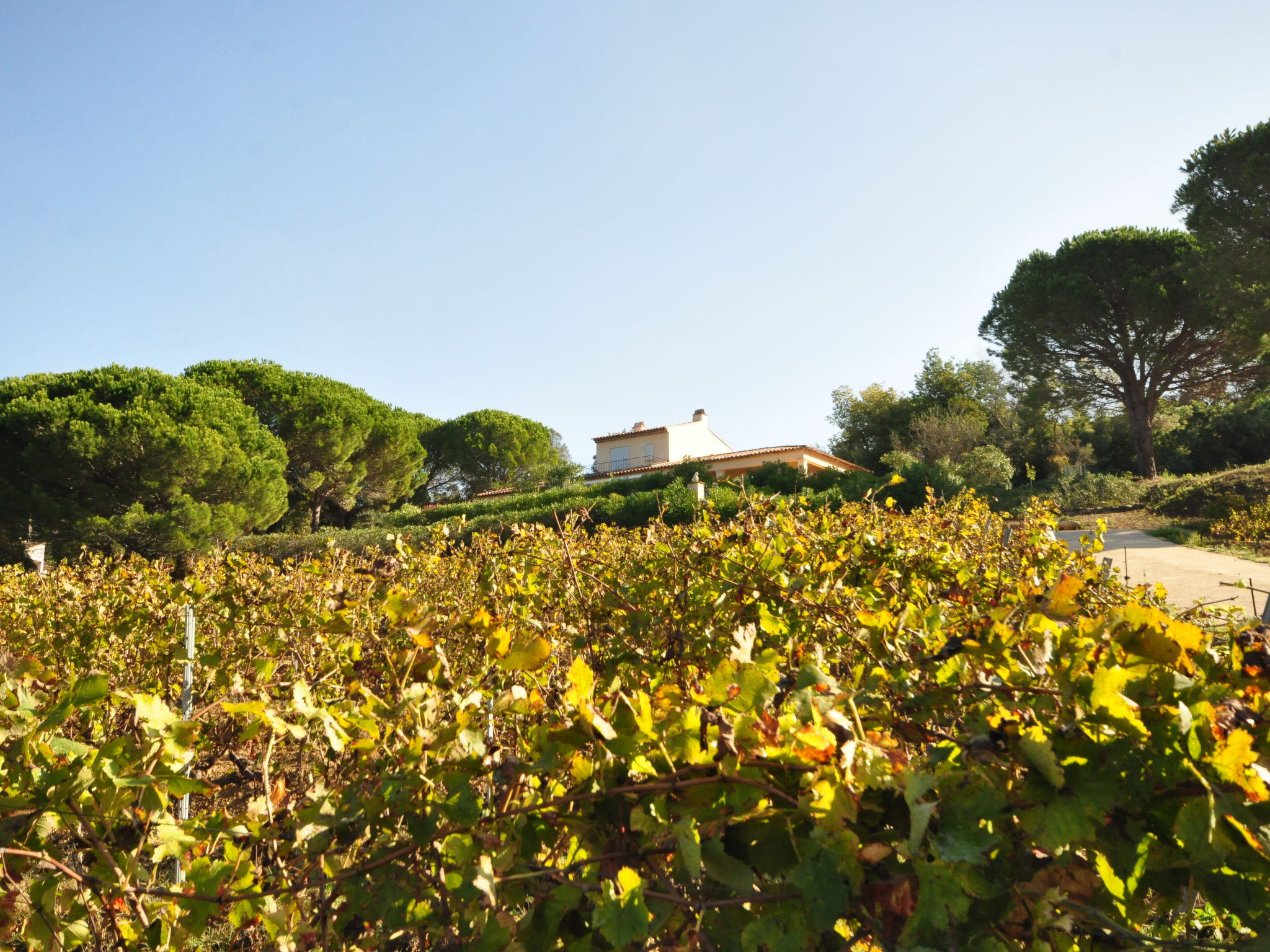 Photo of Hameau du Brost