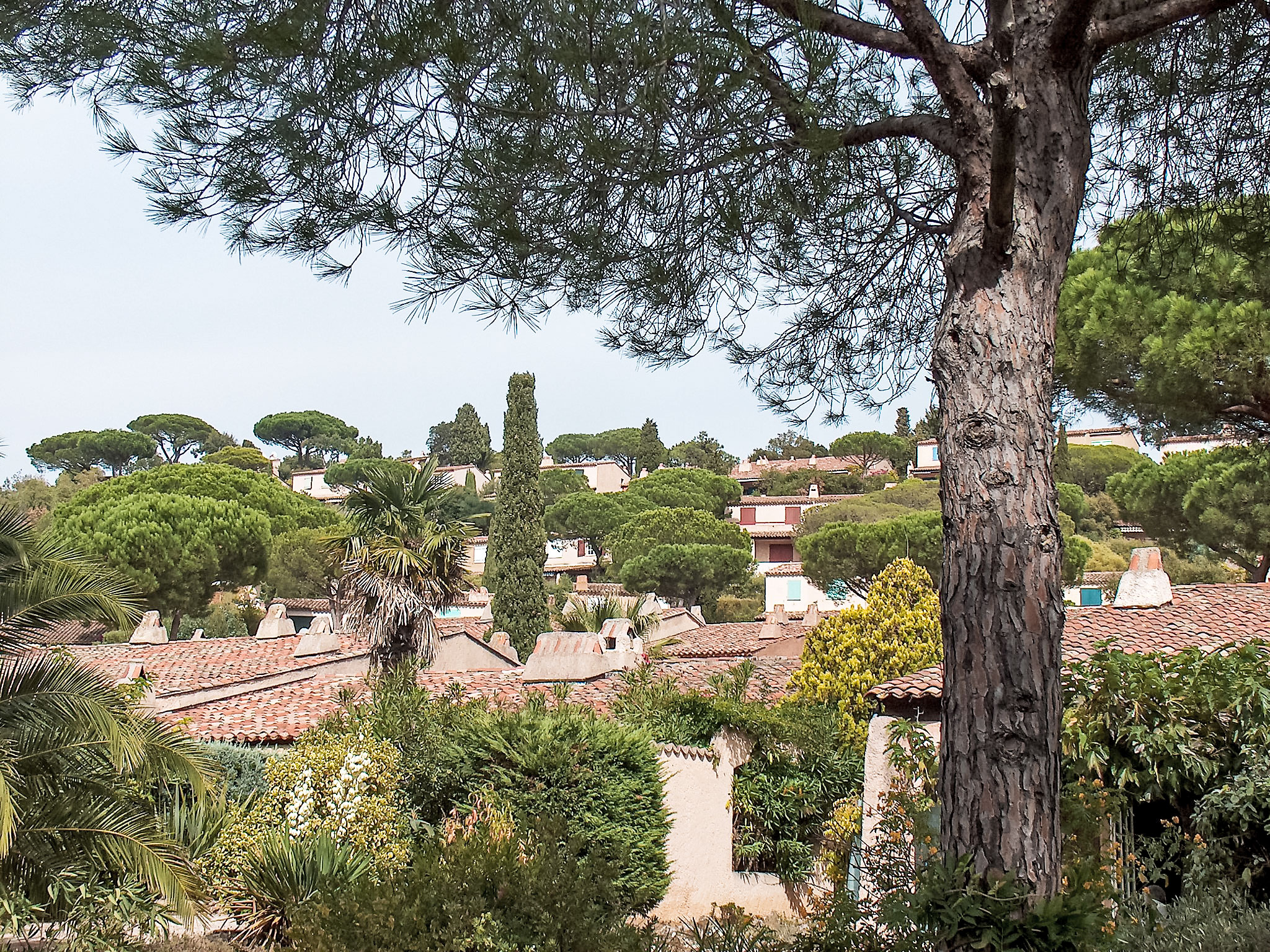 Photo of Les Mas de Gigaro