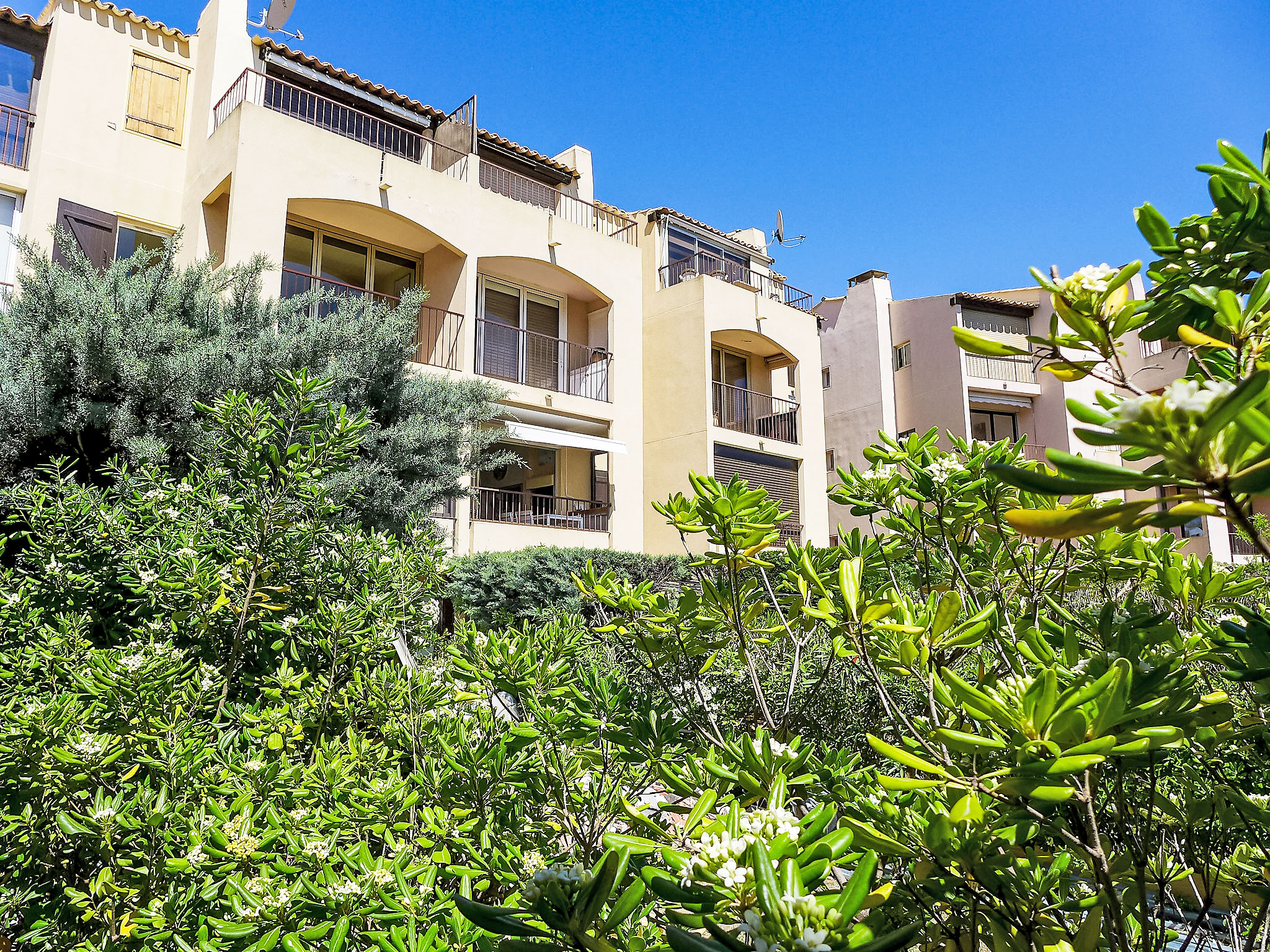 Photo of Colline Valmer