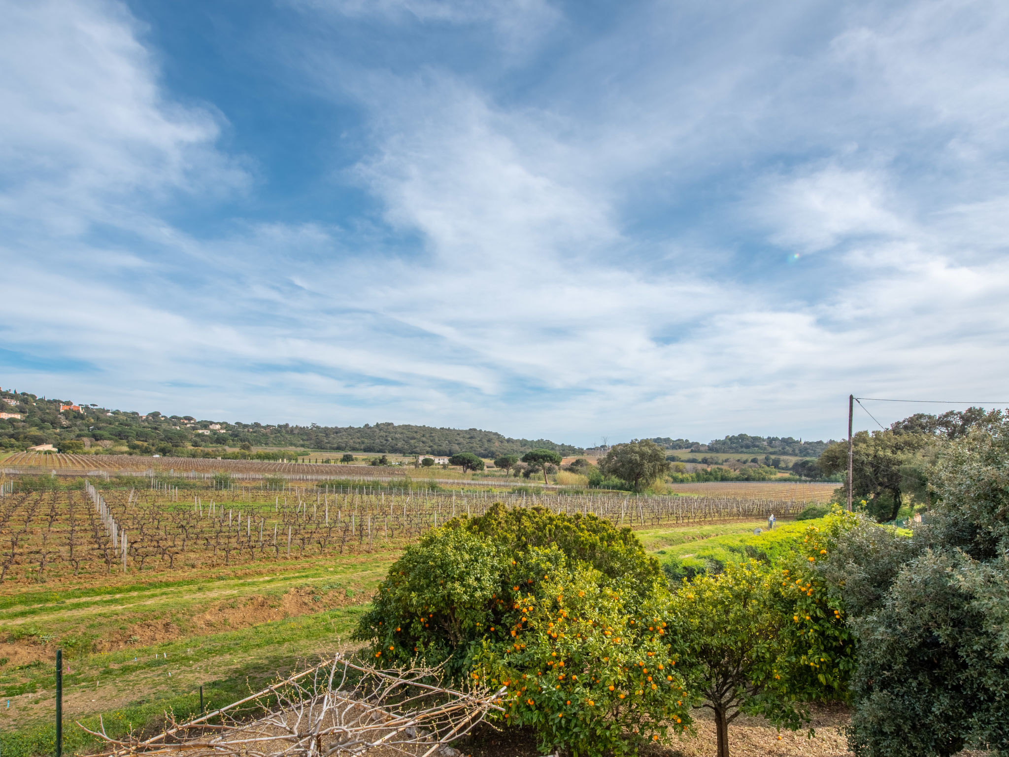 Photo of Villa Marenco