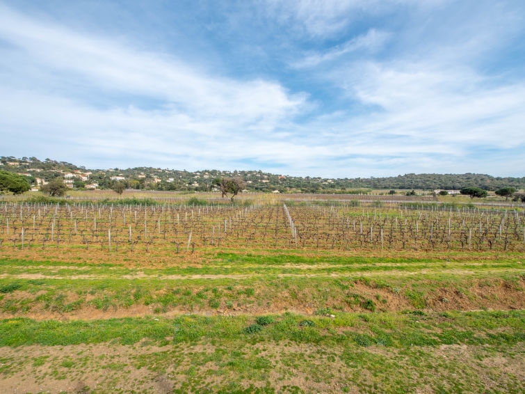 Photo of Villa Marenco