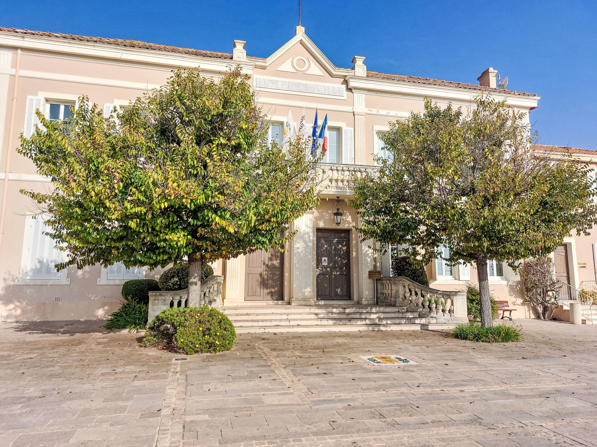 Le Grand Pin-Environnement