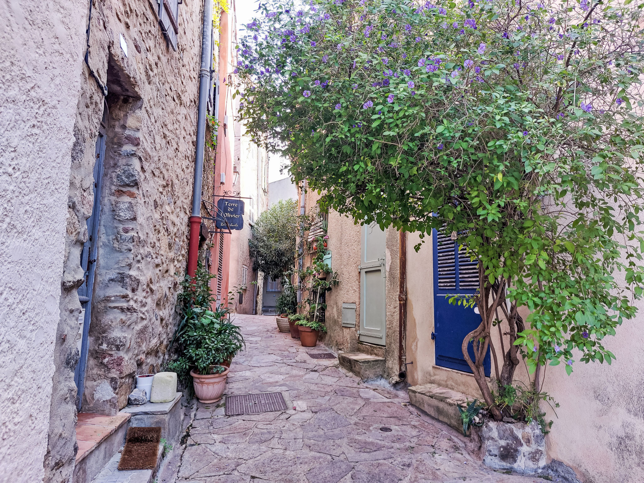 Le Grand Pin-Environnement