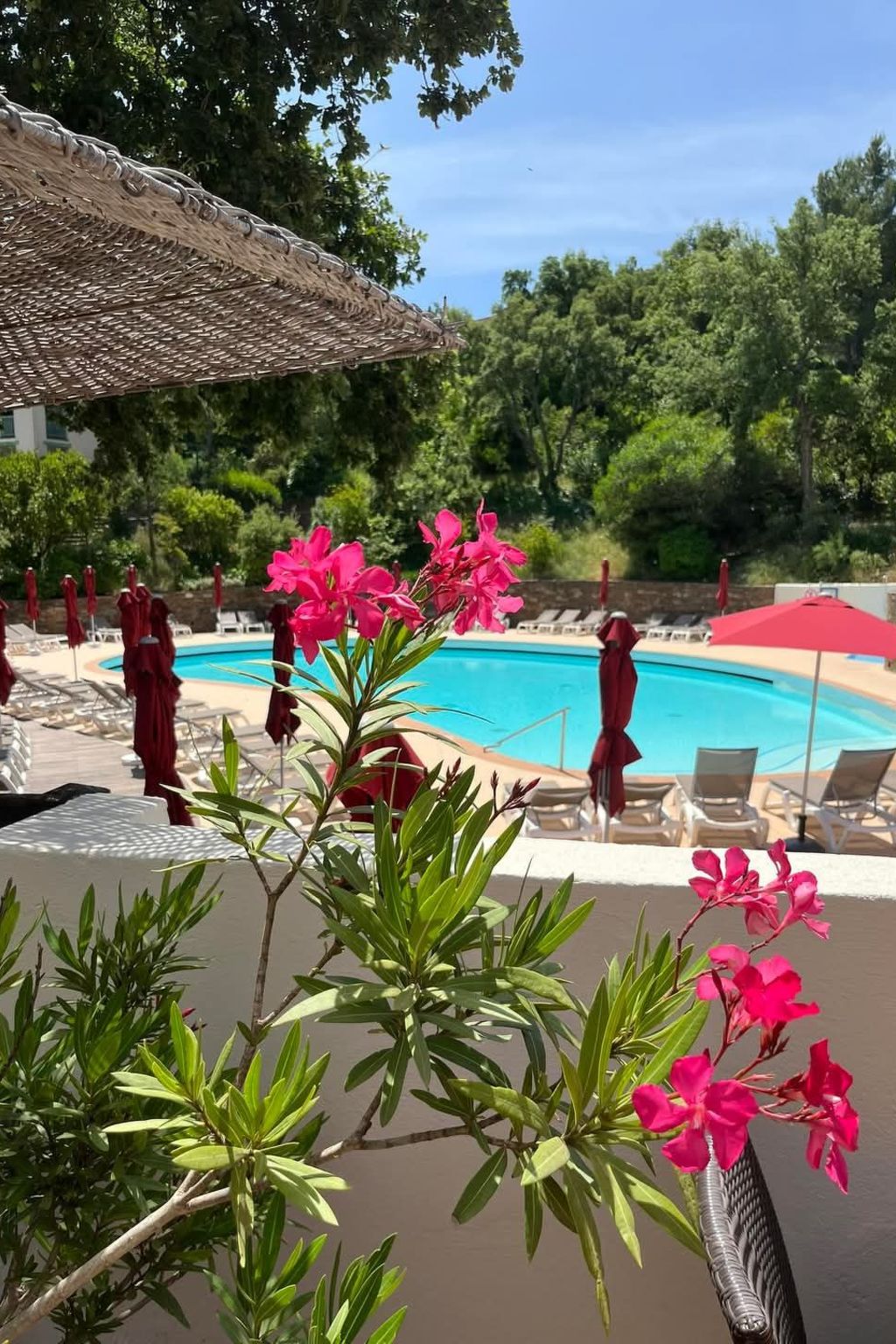 Urlaub in Port Grimaud 6 Personen Meerblick - Image-tags.info