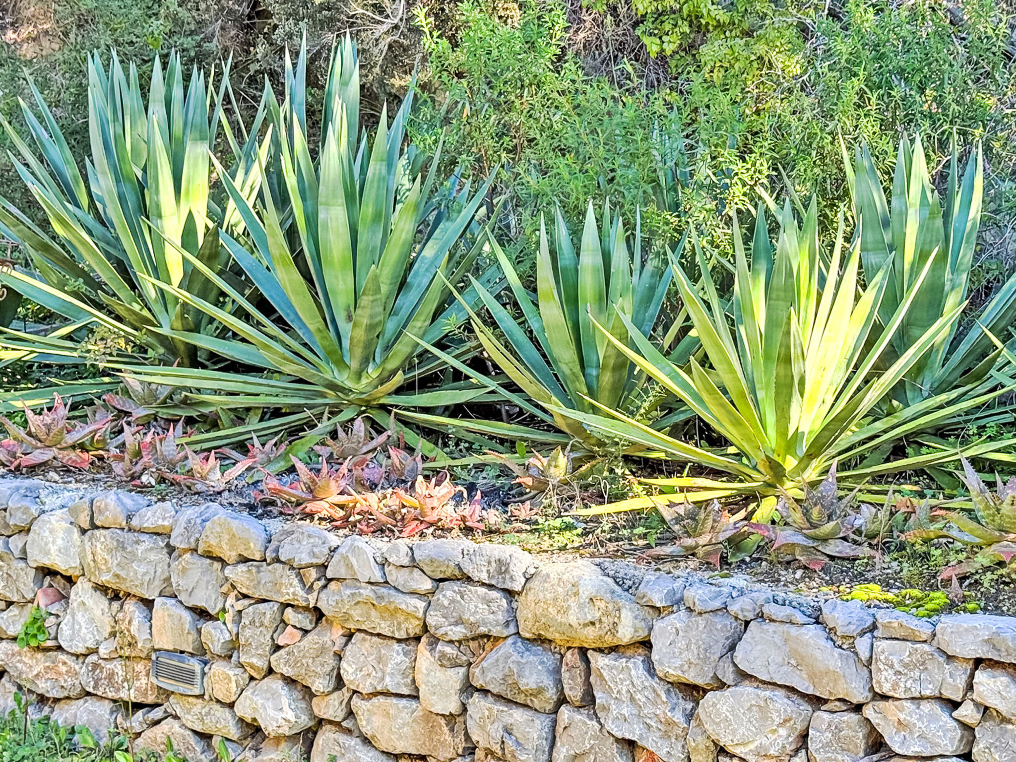 Photo of Villa 6 Chambres 12 Pers - Piscine - Clim - Wifi