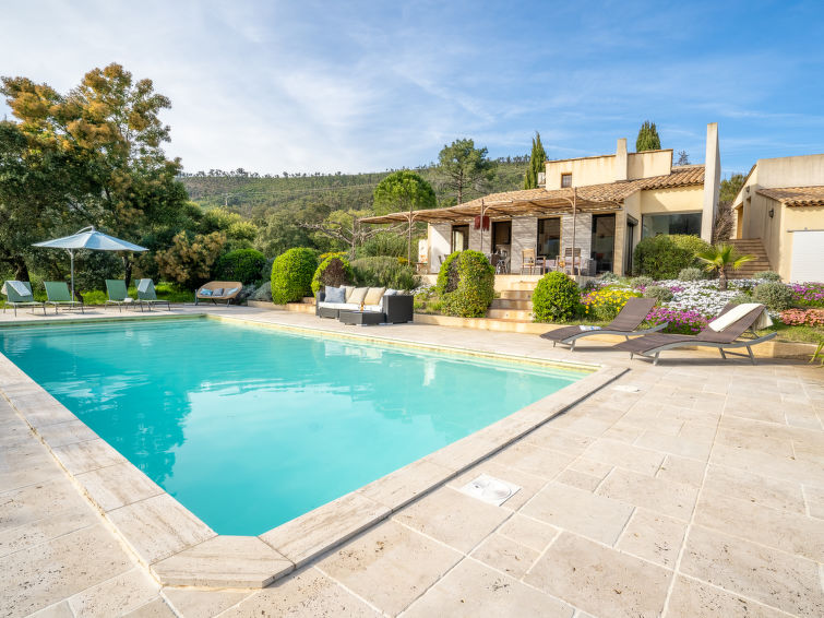 Search and Stay destination La Môle, Provence-Alpes-Côte d'Azur - France from AU$ 422. Serapias