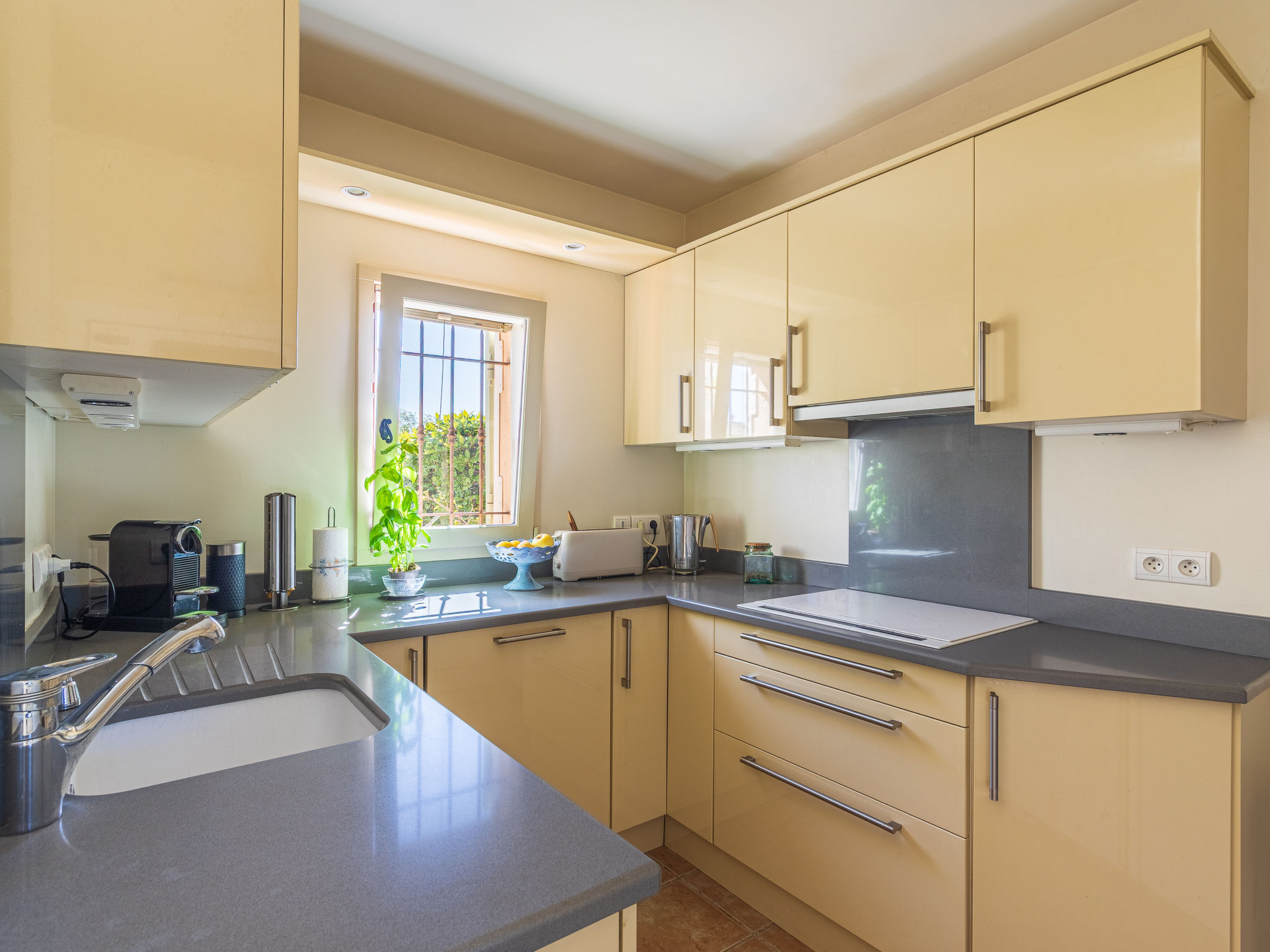 Photo of Les Migraniers 2