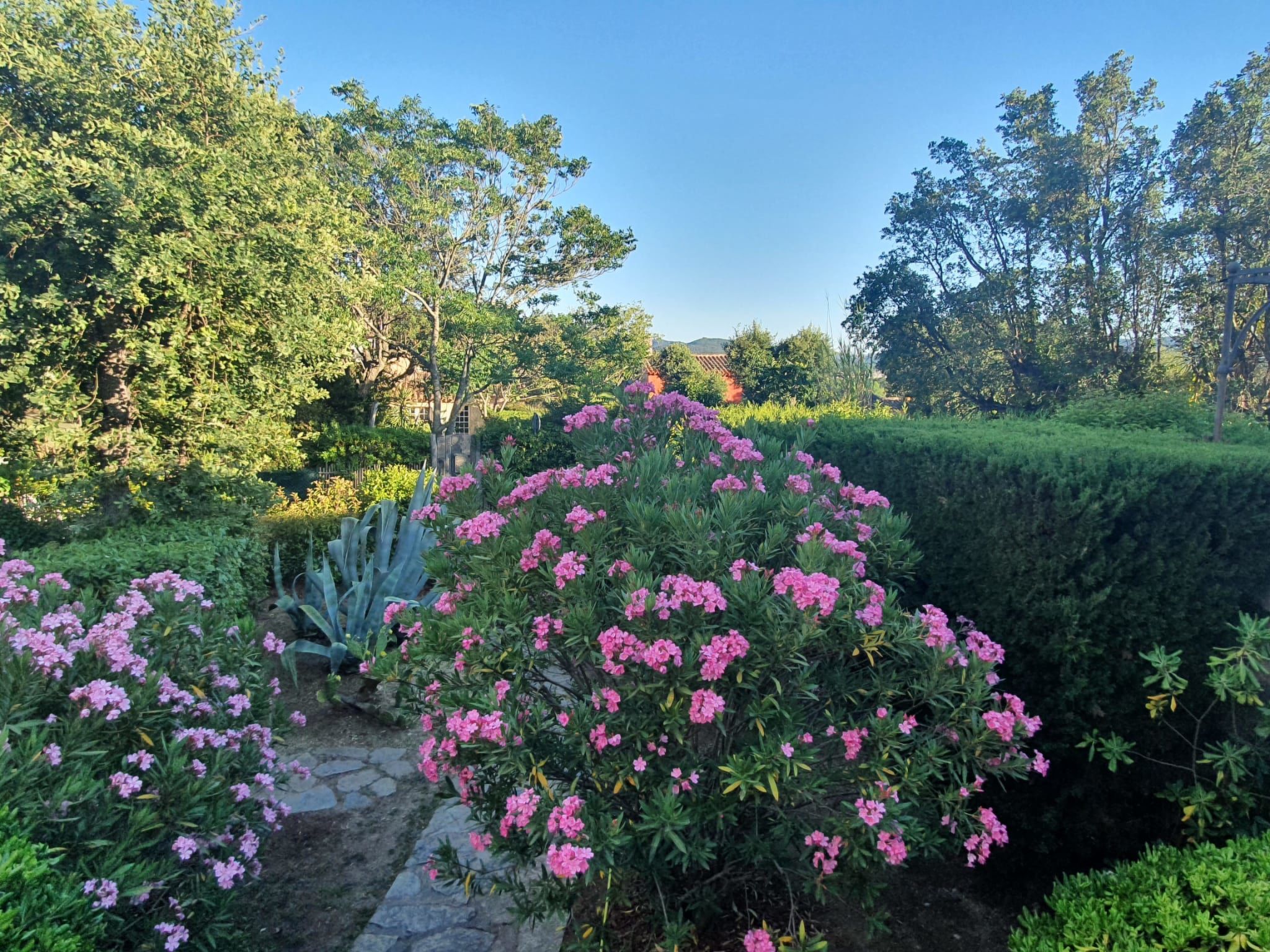 Photo of La Maison bleue