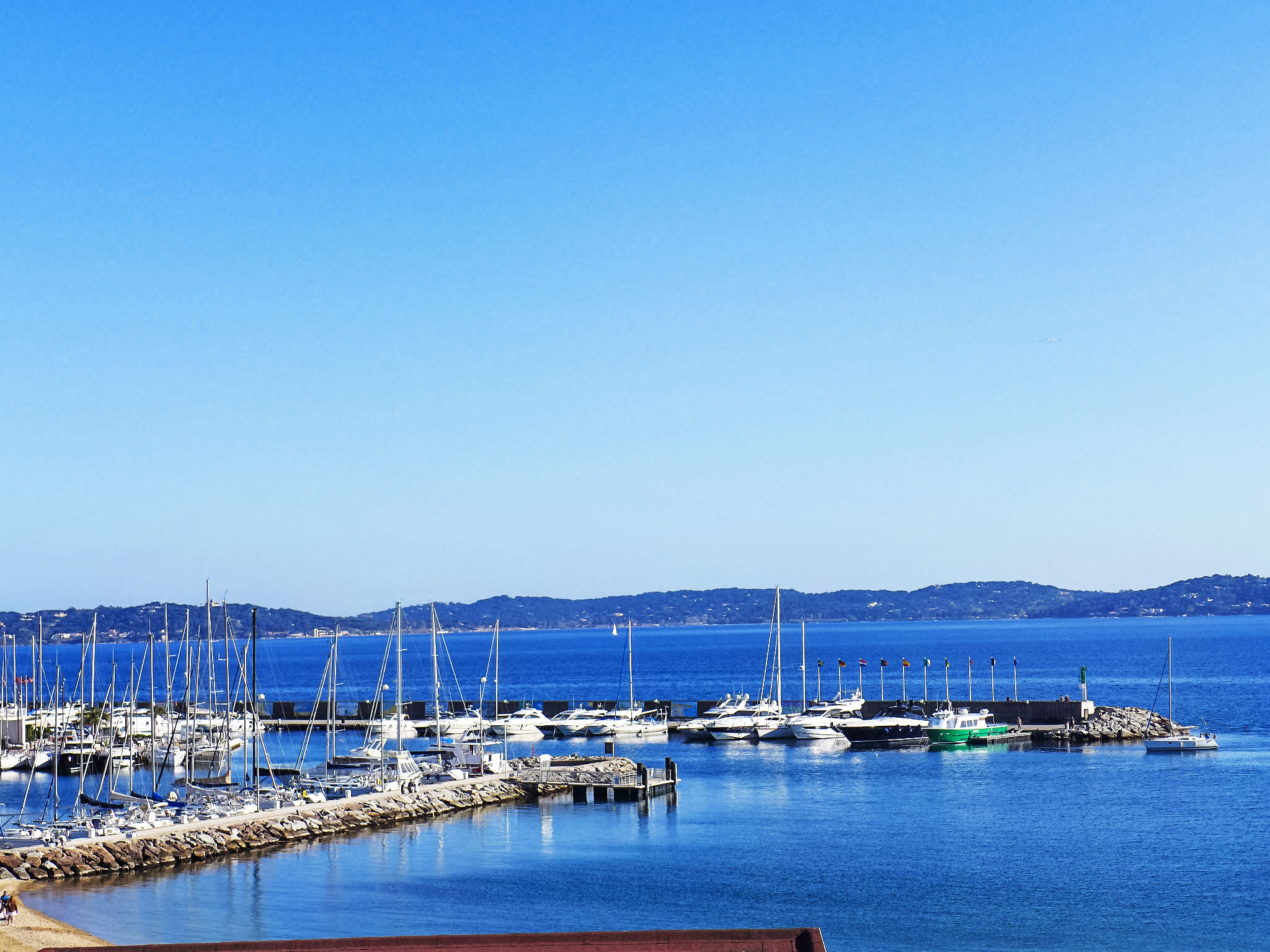 Photo of Les Dauphins
