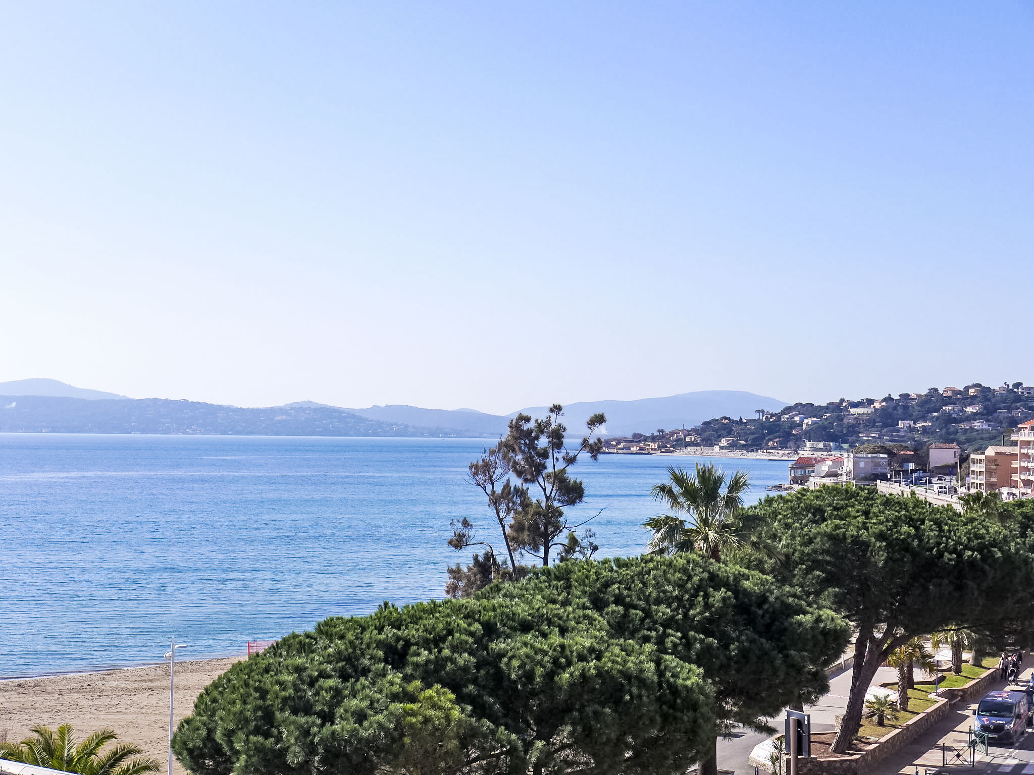 Photo of Les Dauphins
