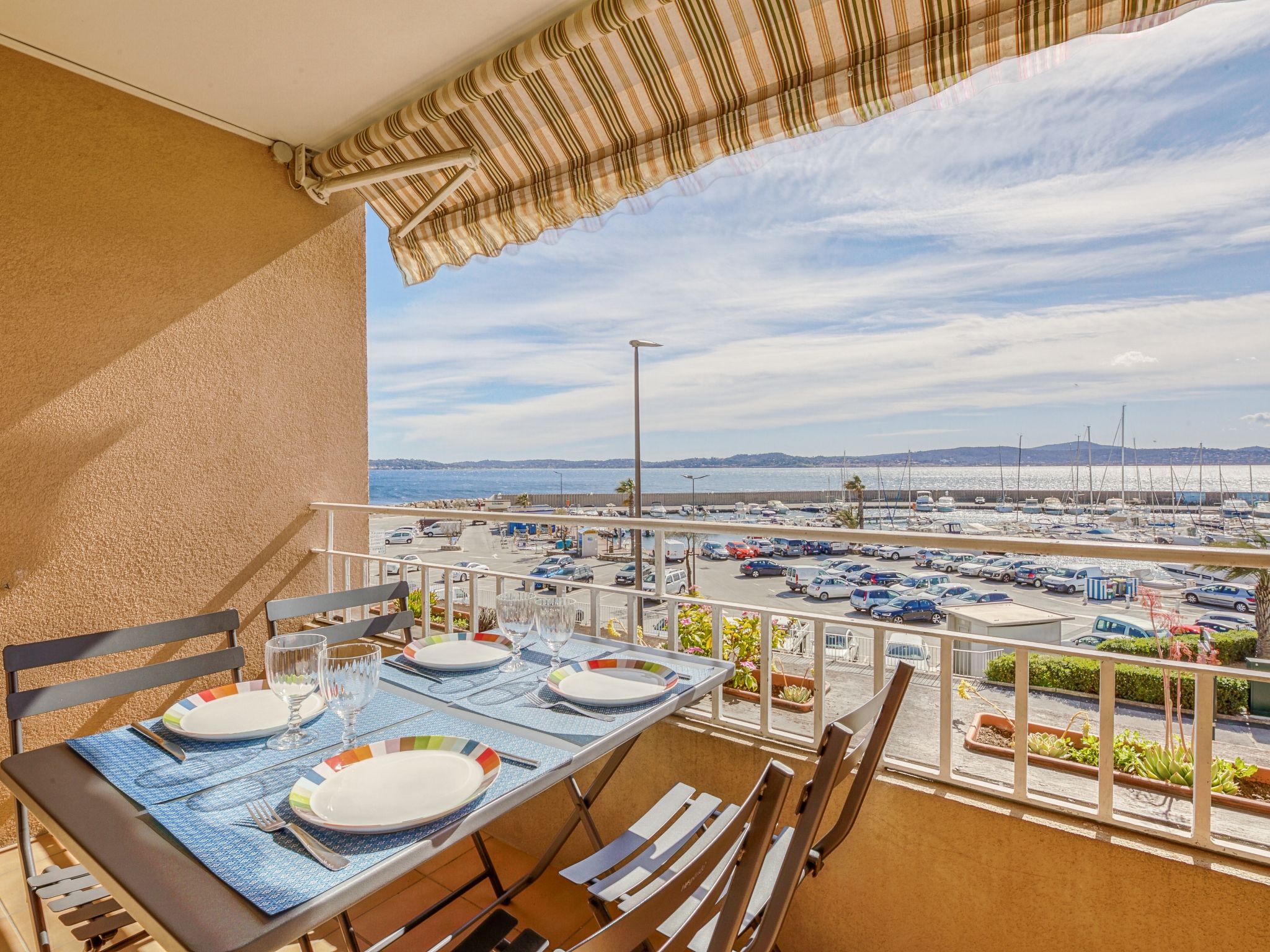 Photo of Les Mimosas