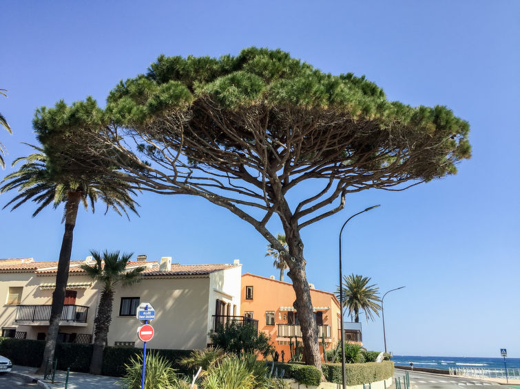 Les Embruns Apartment in Sainte Maxime